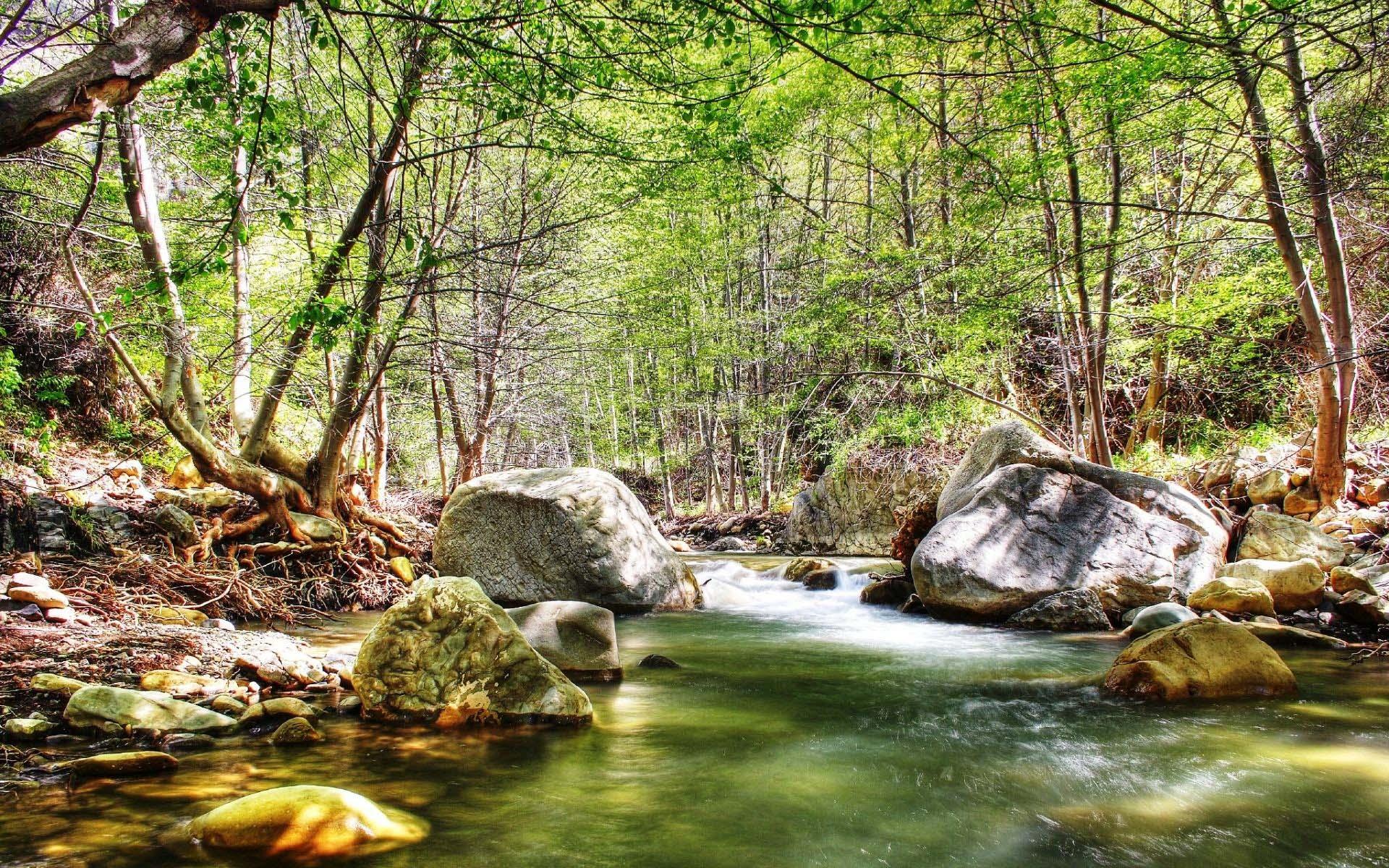 1920x1200 Nature Germany By Bobby Gonz Desktop Image