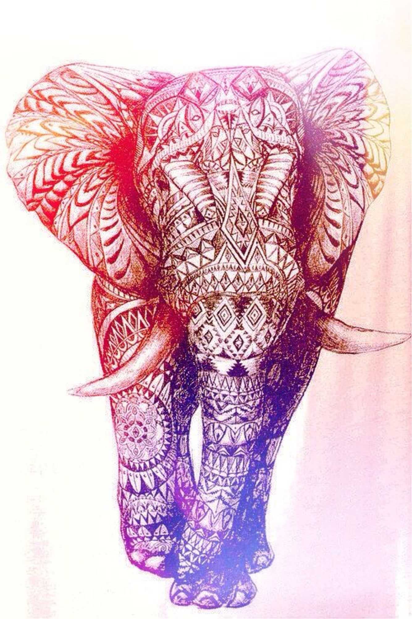 1334x2000 Cute Elephant Wallpaper Free HD Wallpaper