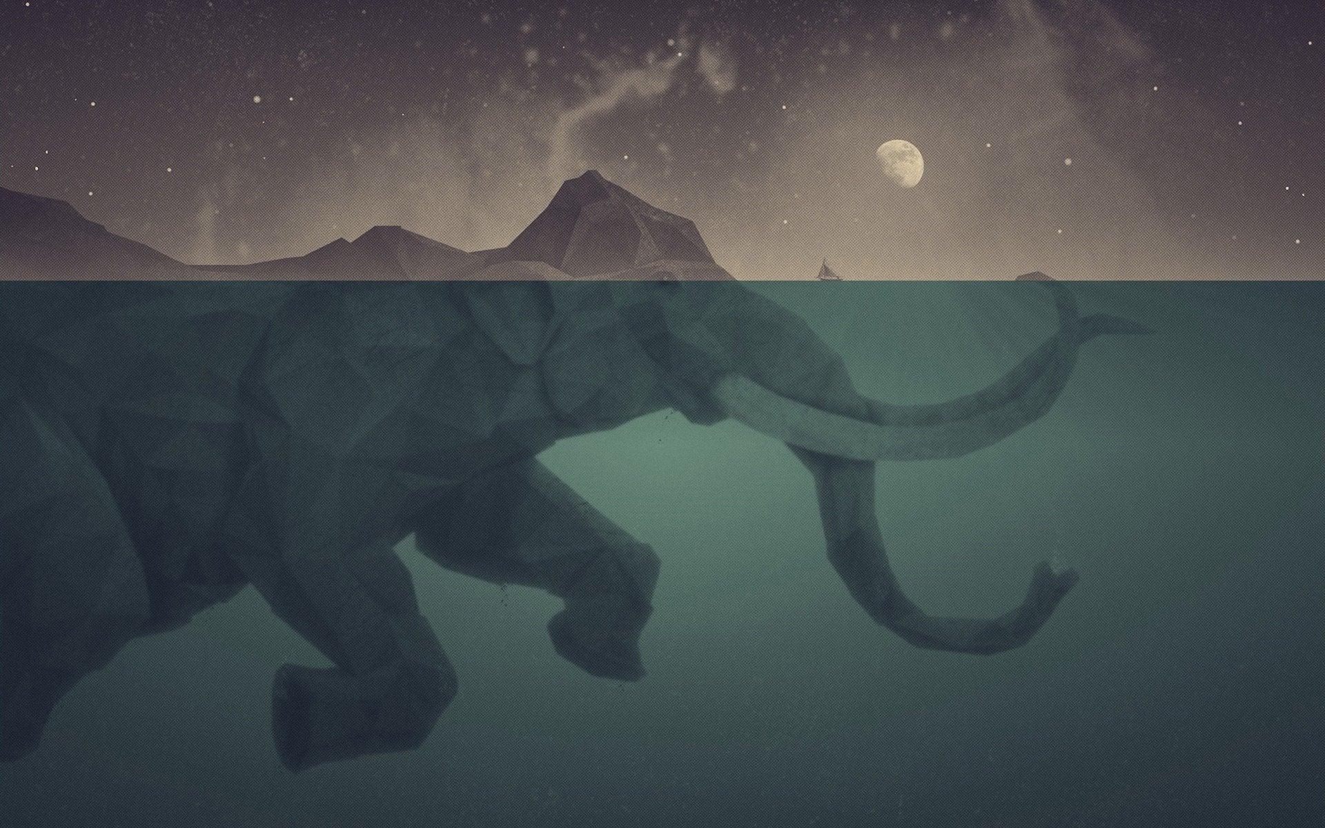 1920x1200 Elephant