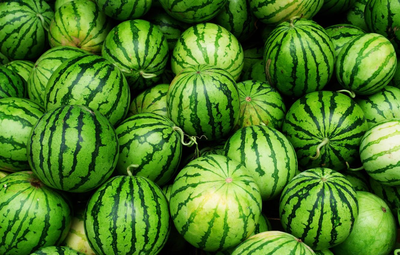 1332x850 Wallpaper strips, green, watermelon image for desktop, section еда