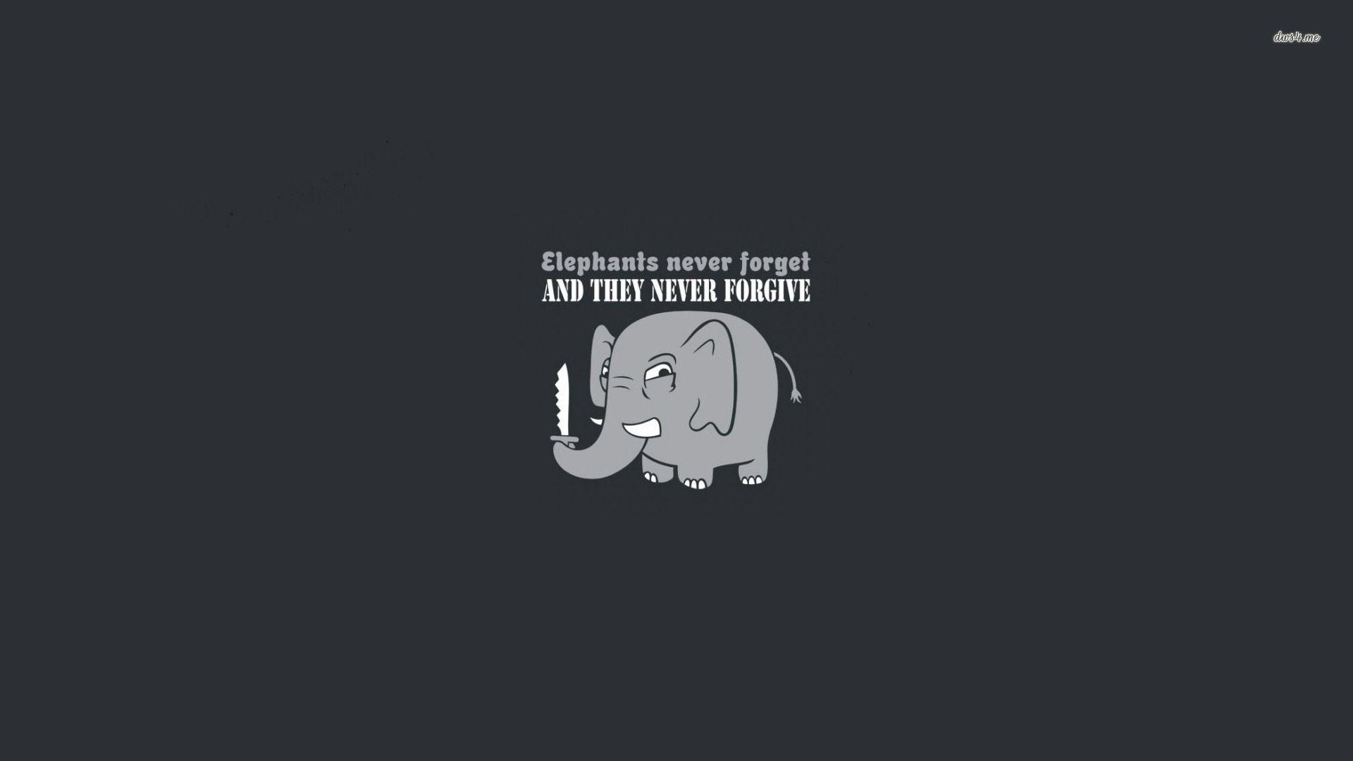 1920x1080 elephant wallpaper 74