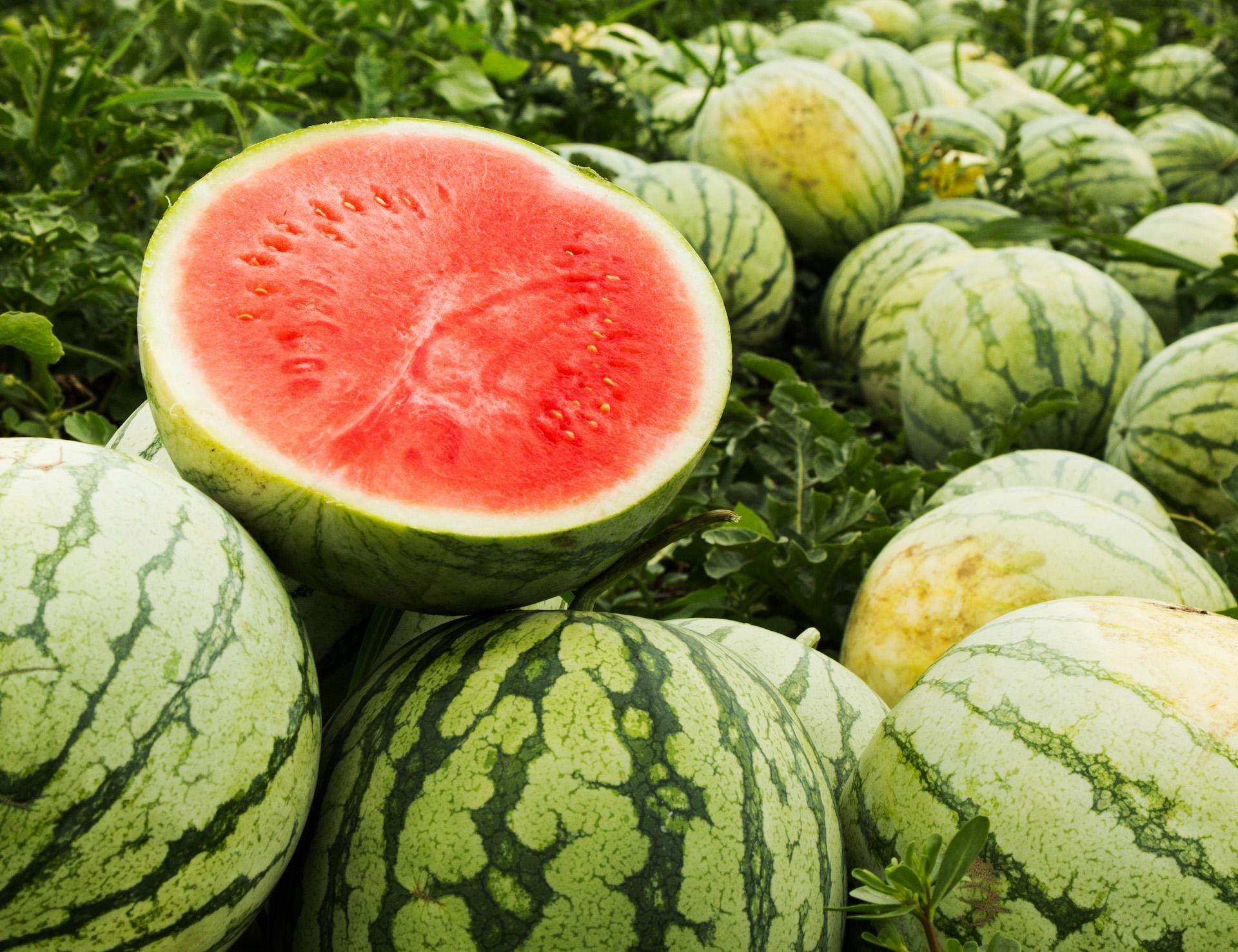 1920x1476 Three tips to pick out a sweet watermelon