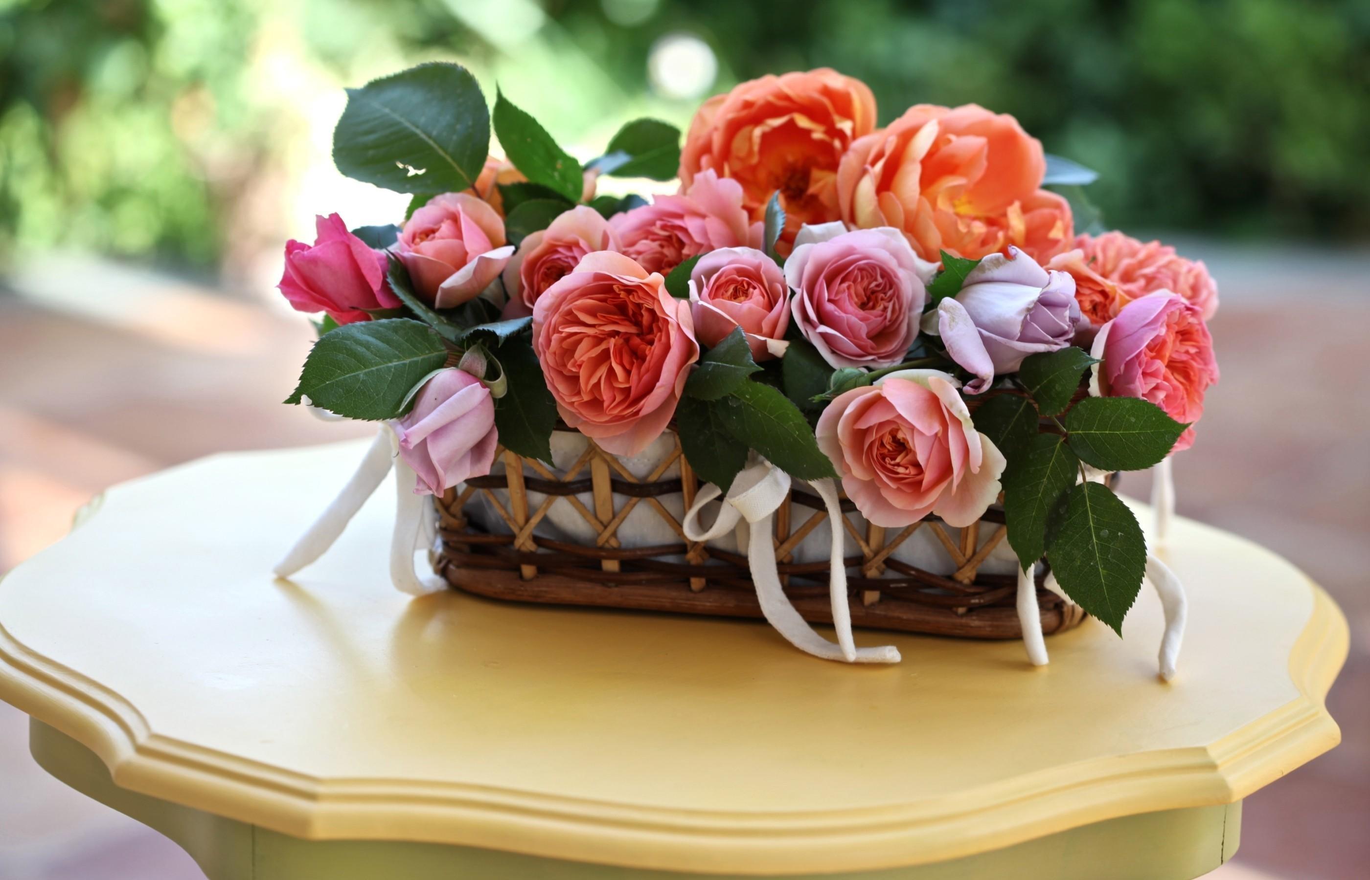 2800x1800 Download wallpaper 2800x1800 roses, flowers, flowing, trash, leaves, table HD background