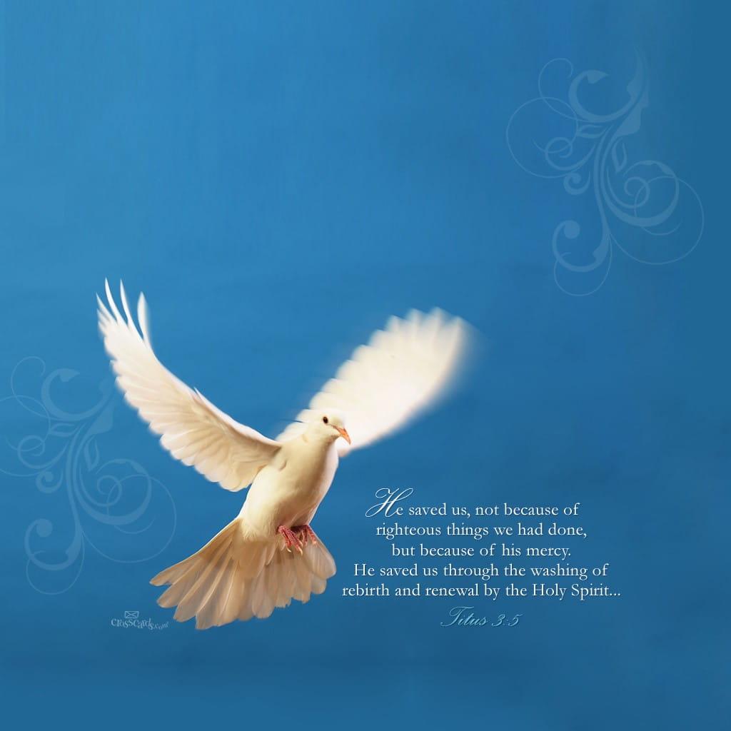 1024x1024 Titus 3:5 Verses and Scripture Wallpaper for Phone or Computer