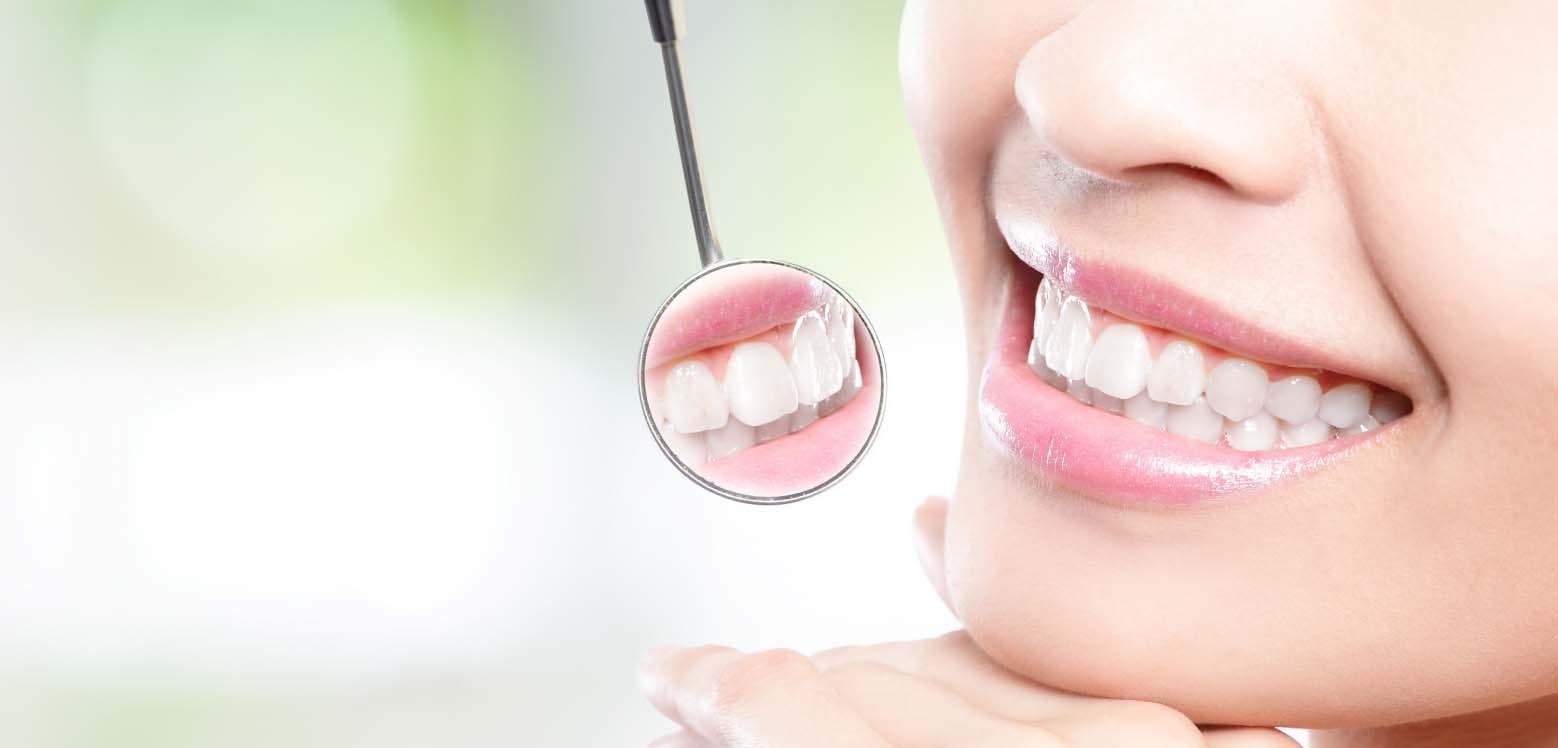 1558x748 Dentist Calgary SE, Dentists in Southeast Calgary, Calgary Dentist