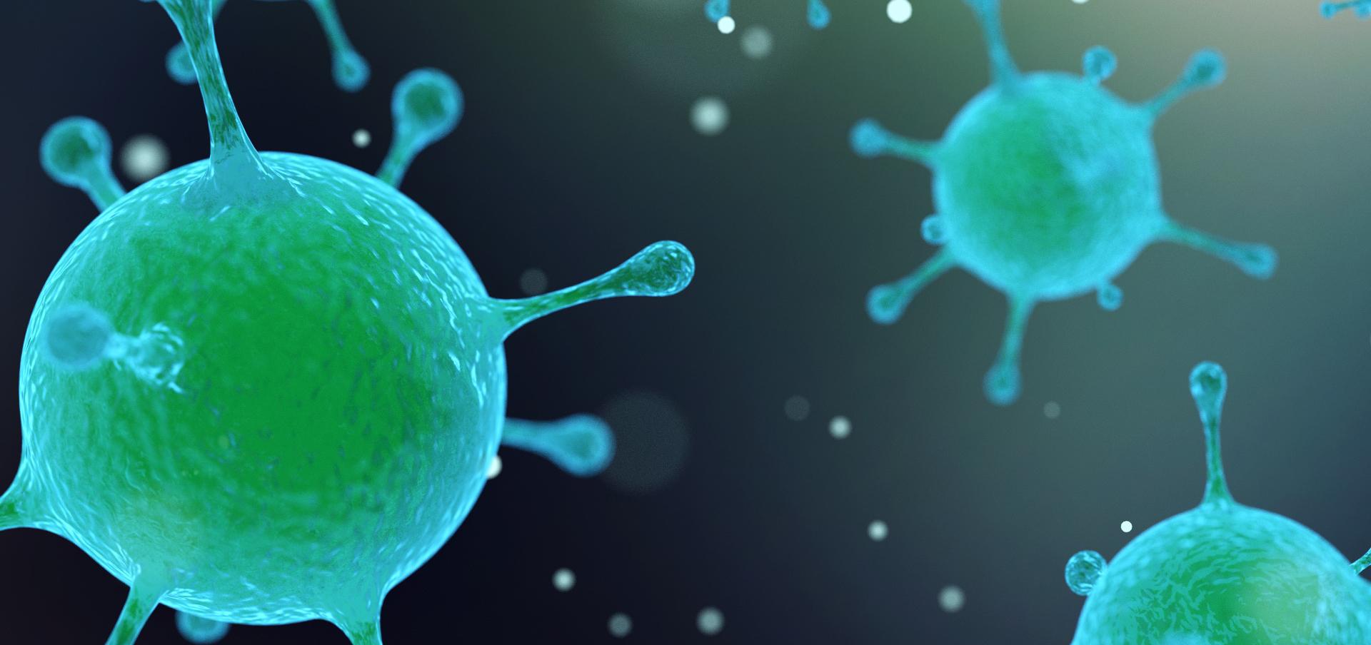 1920x904 Epidemiology vs. Public Health