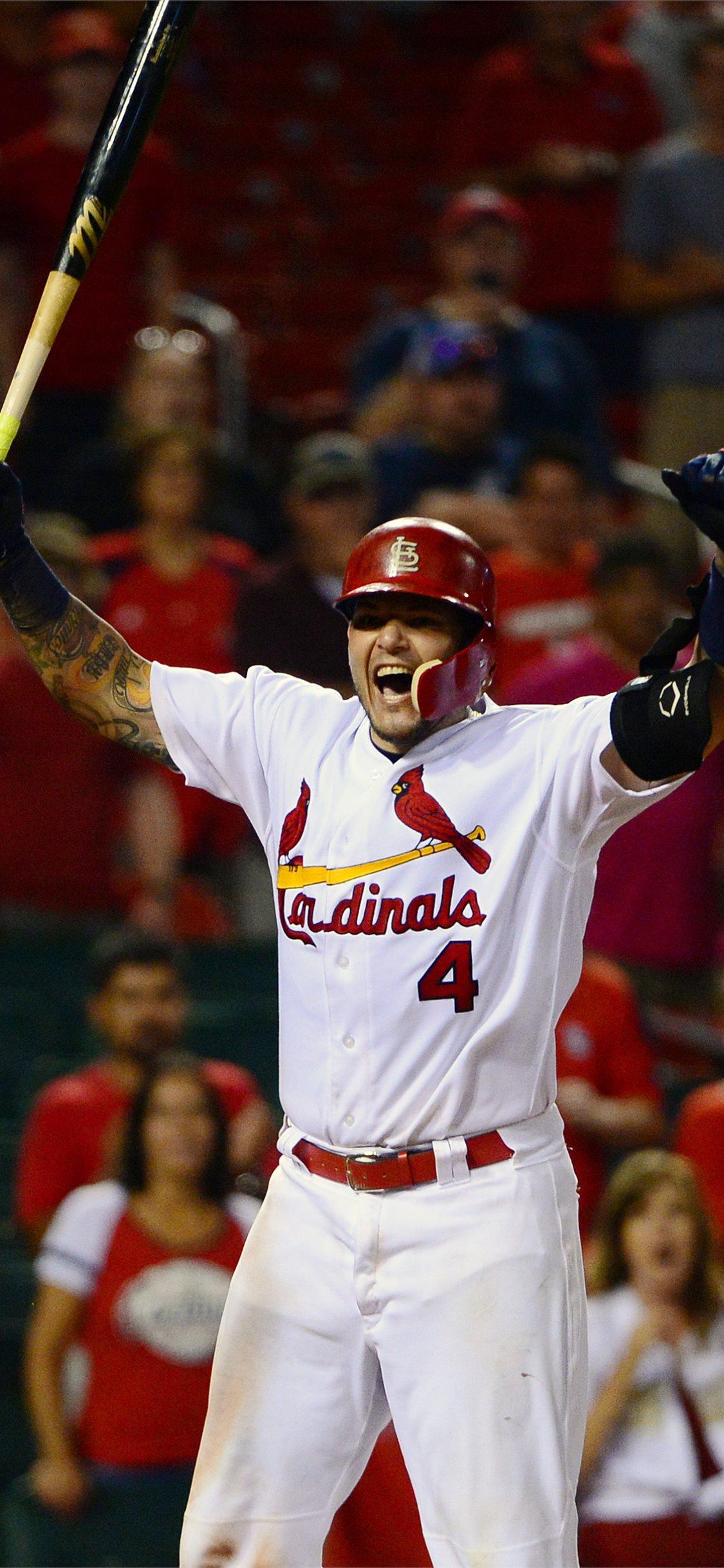1125x2436 st louis cardinals iPhone Wallpaper Free Download