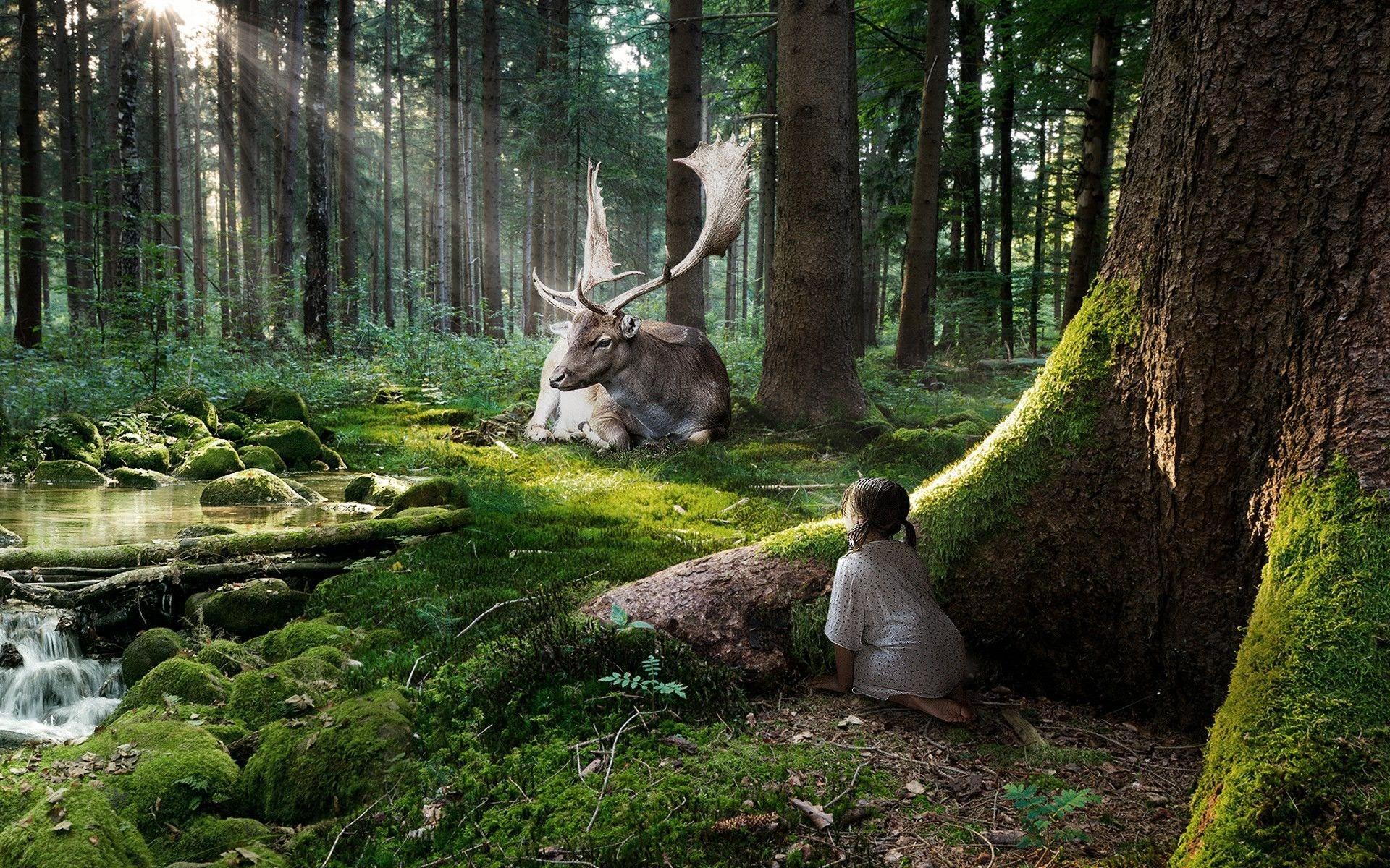 1920x1200 The girl spies the elk in the woods. Desktop wallpaper for free