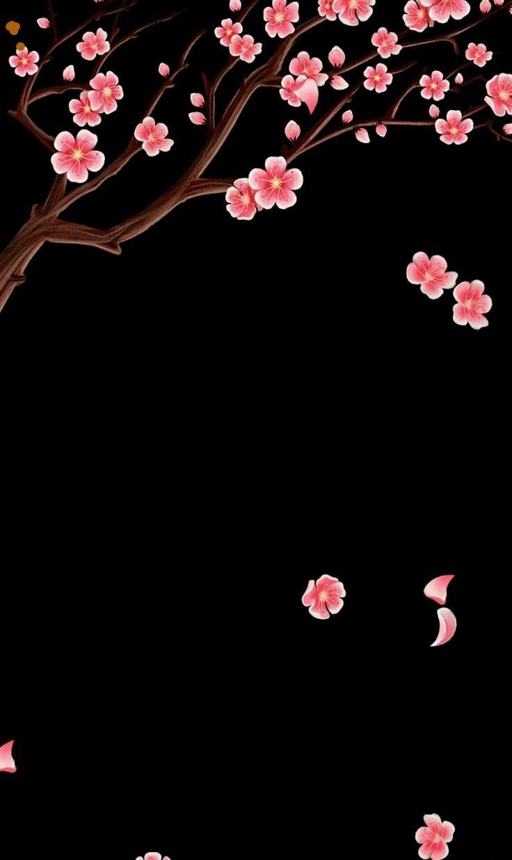 736x1234 Black Sakura Wallpaper