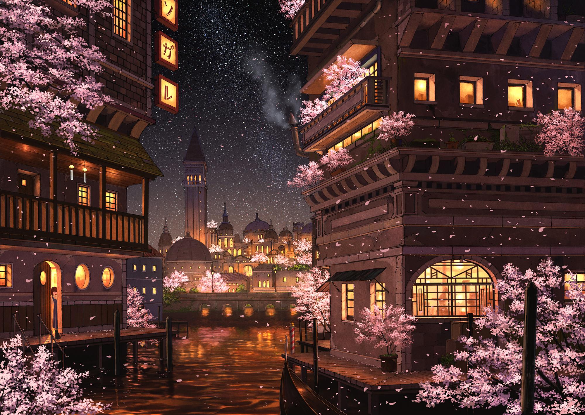 2000x1421 Cherry Blossom HD Wallpaper and Background