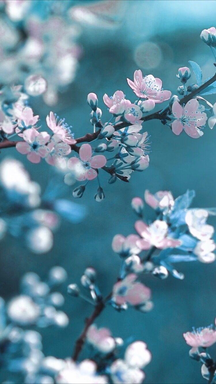 750x1334 Pink And Blue Flower Wallpaper