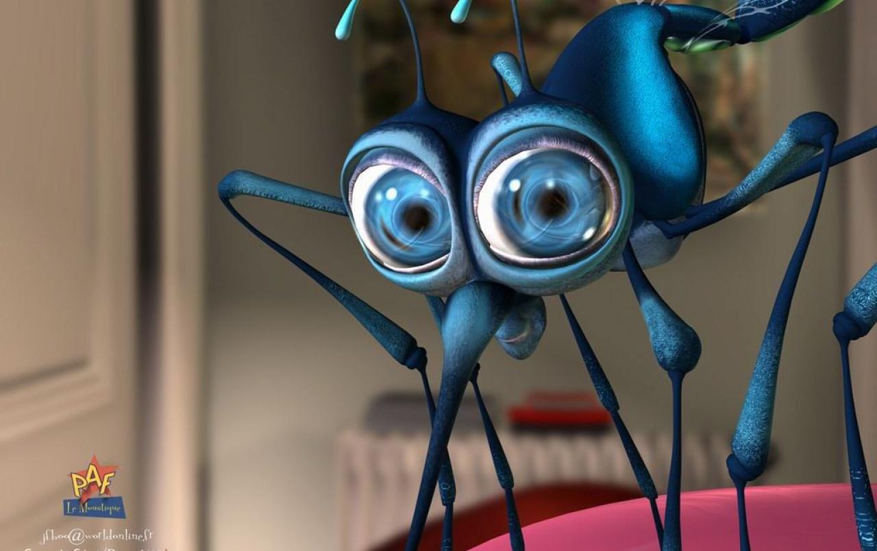 1280x804 Big Eye Insect wallpaper. Big Eye Insect