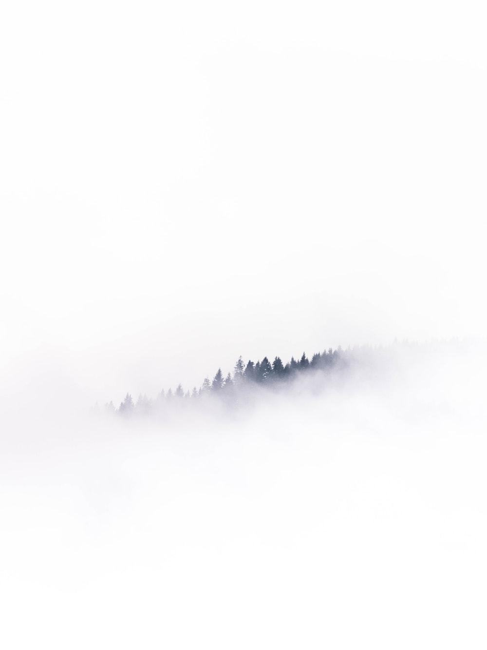 1000x1333 White Wallpaper Picture. Download Free Image