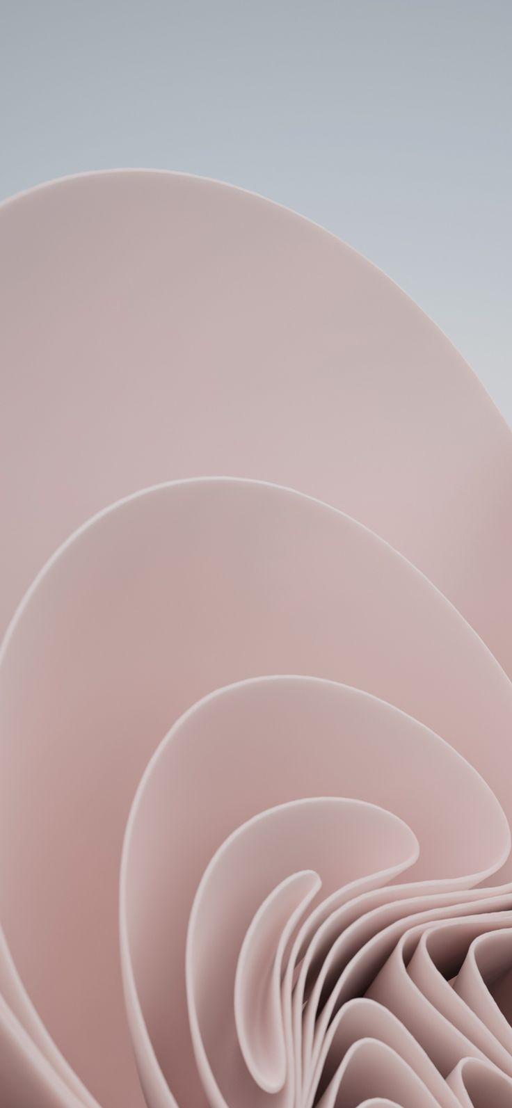736x1593 Download Official Windows 11 Wallpaper Pink. Wallpaper, Pink and purple wallpaper, Windows