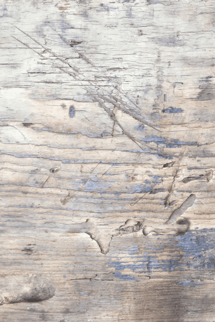 735x1102 Wood Texture. Wood Background Picture in 2021: Free and Premium