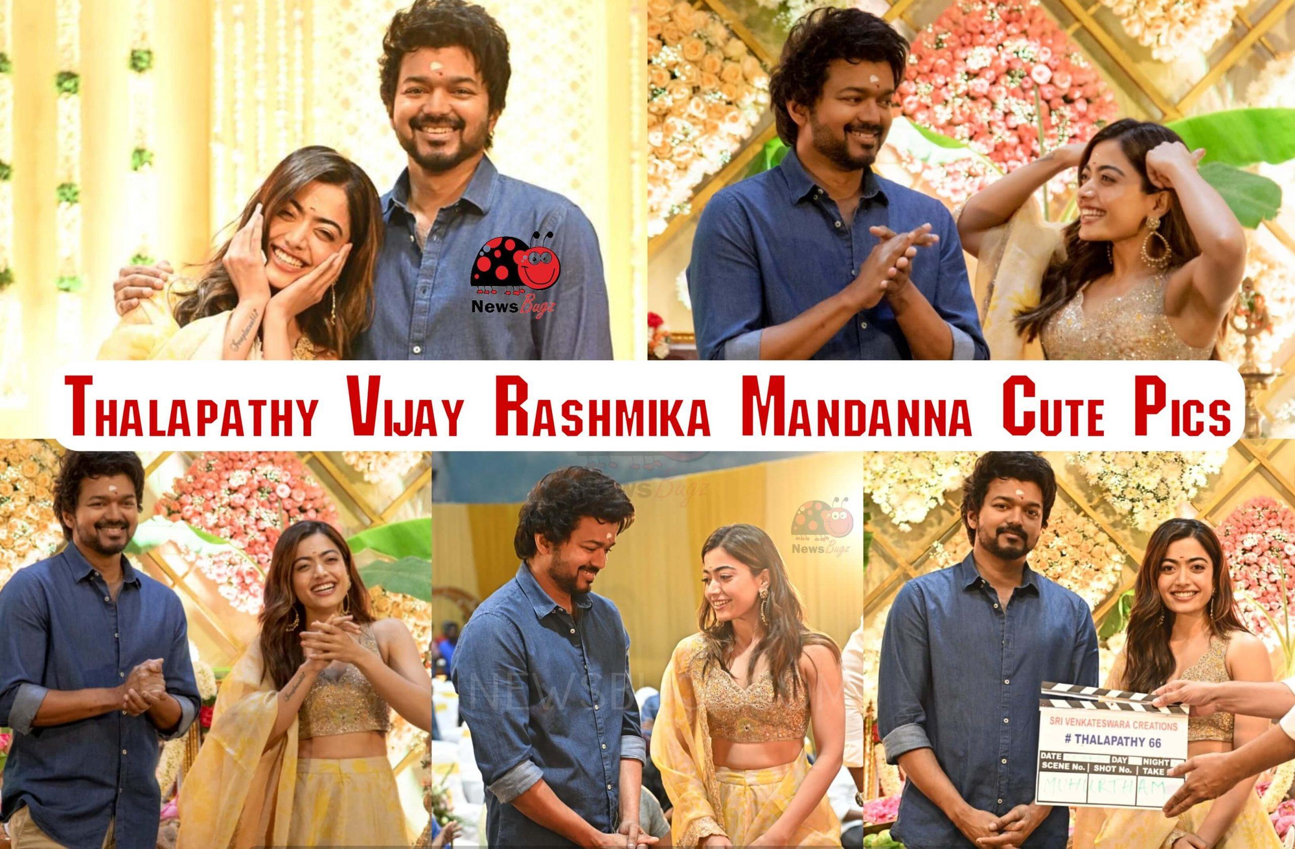Thalapathy 66 Wallpapers Top Free Thalapathy 66 Backgrounds