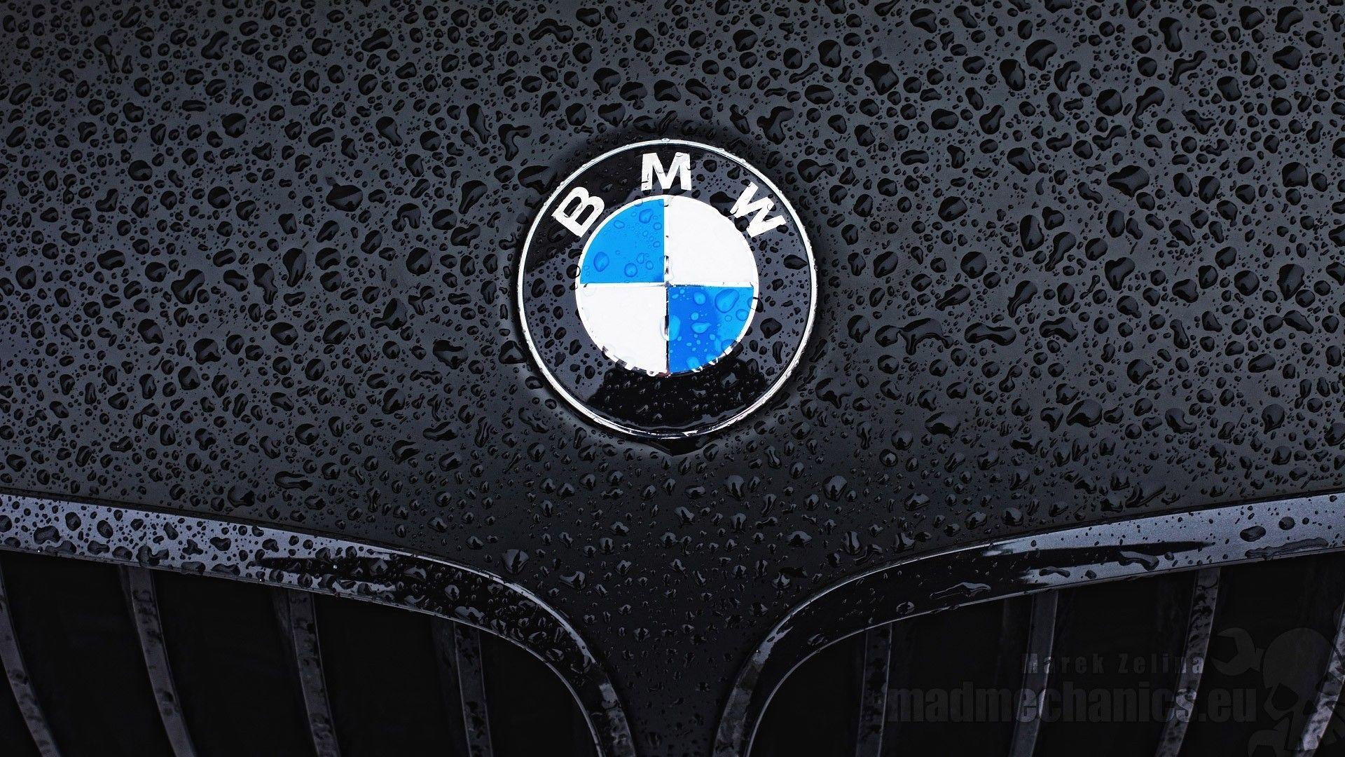 1920x1080 BMW Logo HD Hình nền