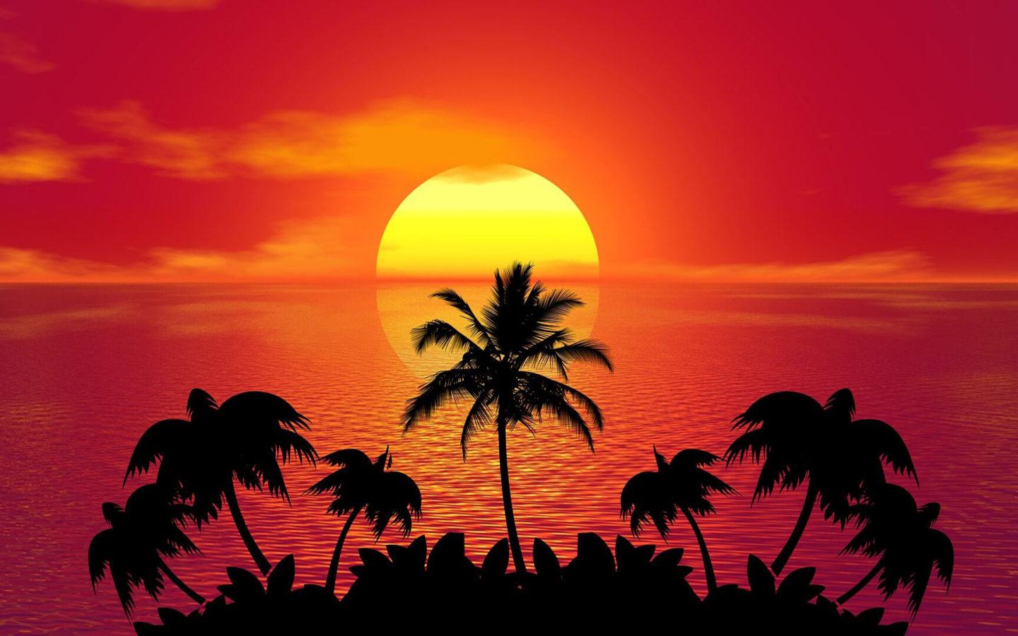 1440x900 Tropical Island Summer Red Sunset Beach Ocean Palm Wallpaper HD :
