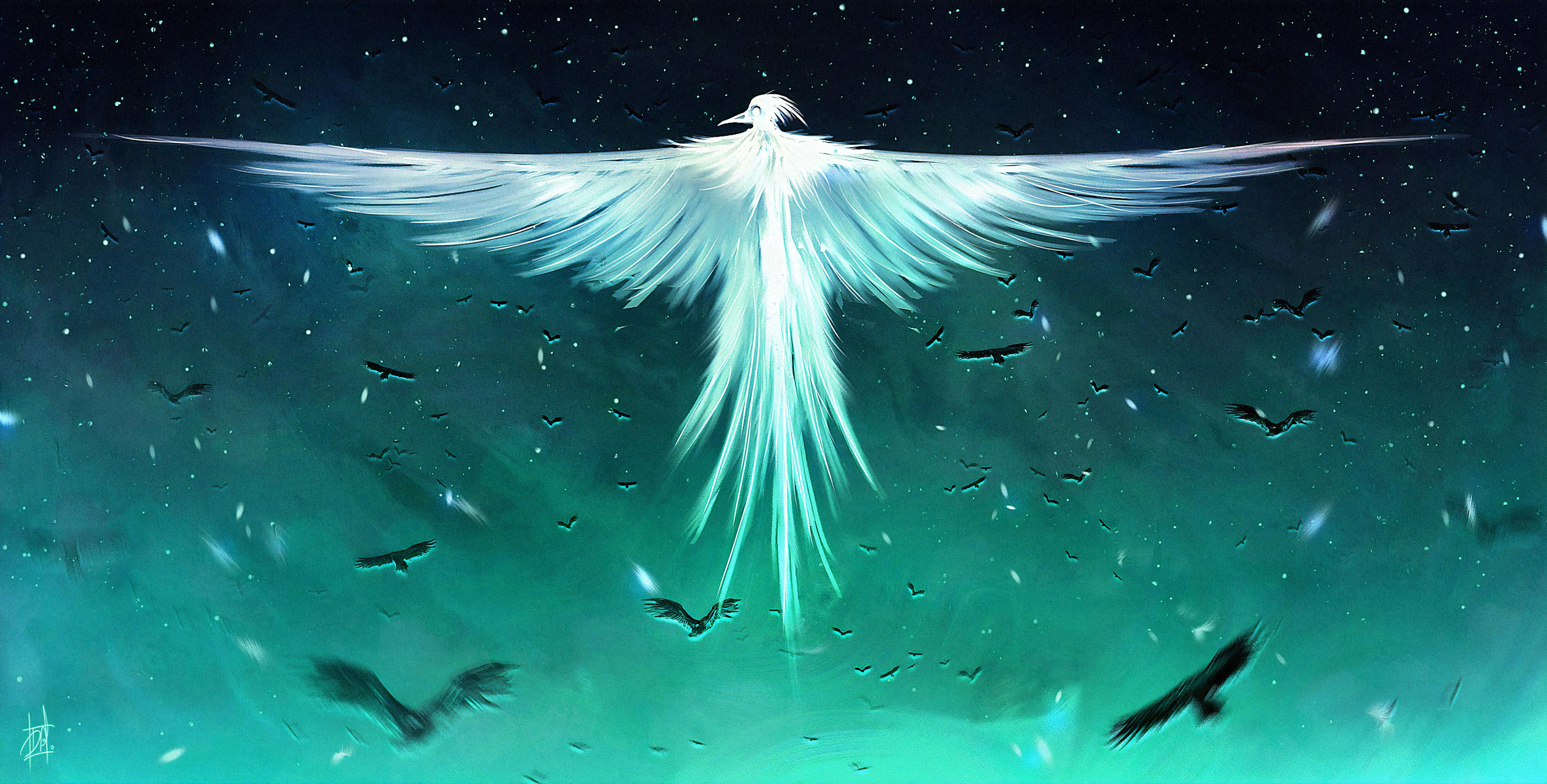 3840x1947 Raven HD Wallpaper and Background