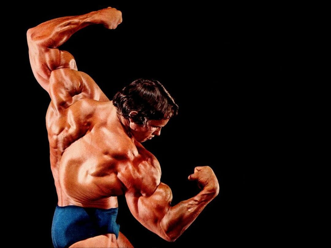 Arnold Schwarzenegger, Bodybuilder, Working out, Exercise, Muscles HD  Wallpapers / Desktop and Mobile Images & Photos