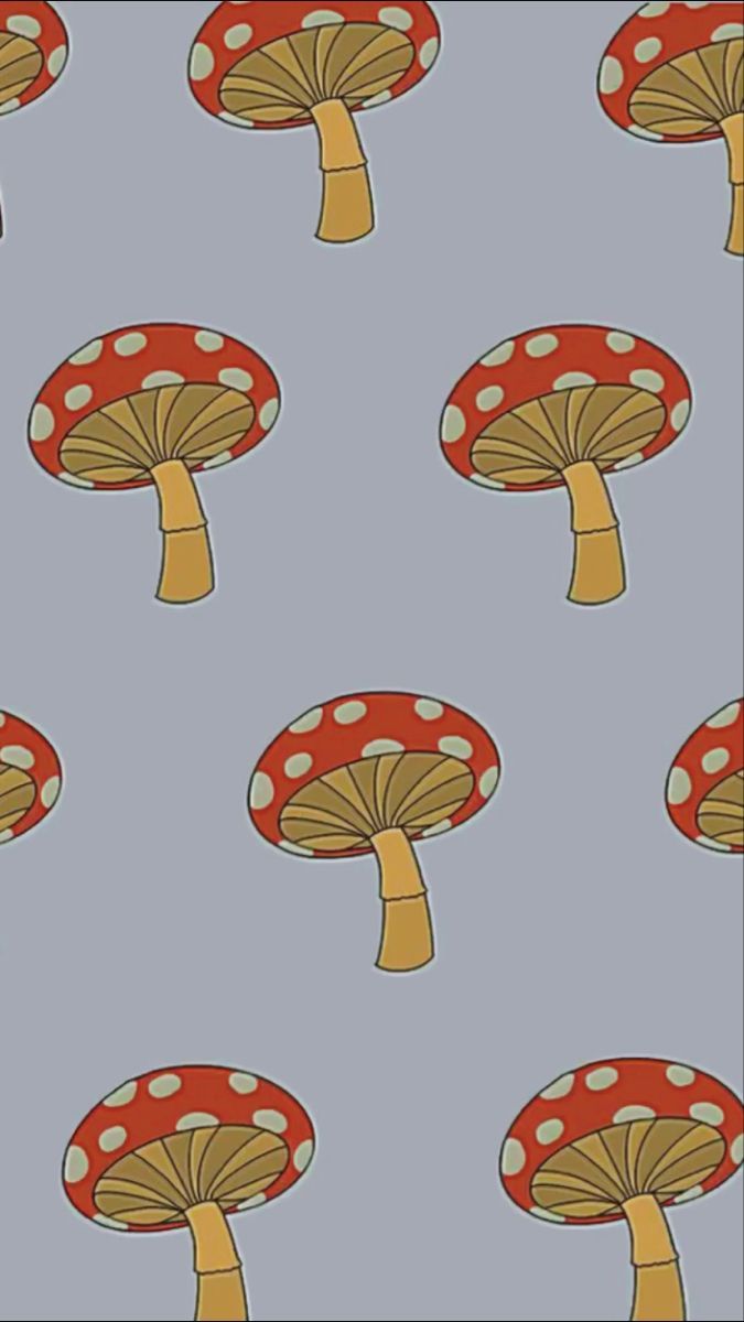 675x1200 Mushroom Wallpaper