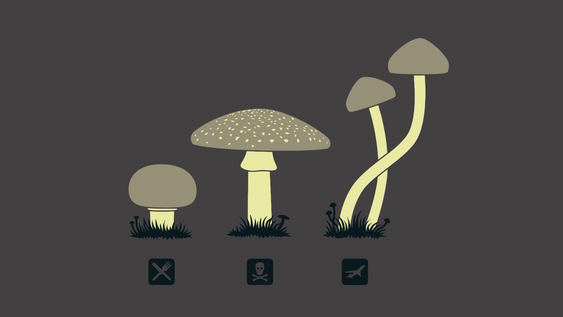 1920x1080 Mushroom Minimalism Laptop Full HD 1080P HD 4k Wallpaper, Image, Background, Photo and Picture