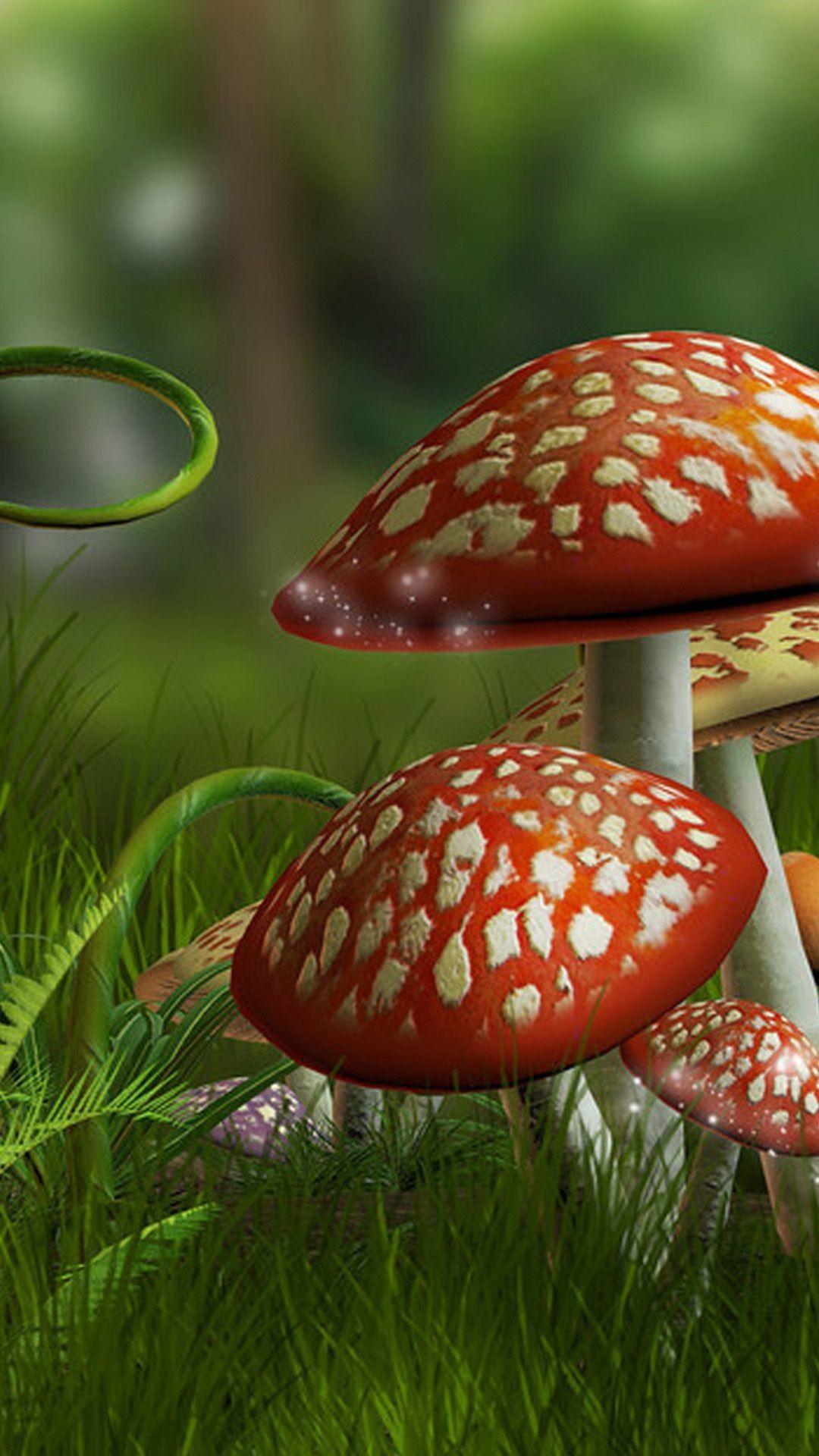 1080x1920 Mushroom Wallpaper