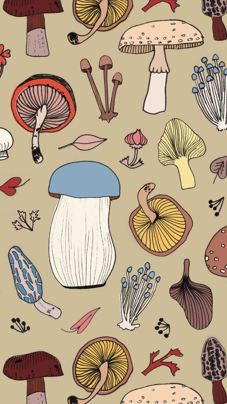 750x1334 Free download Mushroom Wallpaper WPTunnel [750x1334] for your Desktop, Mobile & Tablet. Explore Mushroom Aesthetic Wallpaper. Mushroom Wallpaper, Mushroom Wallpaper, Infected Mushroom Wallpaper