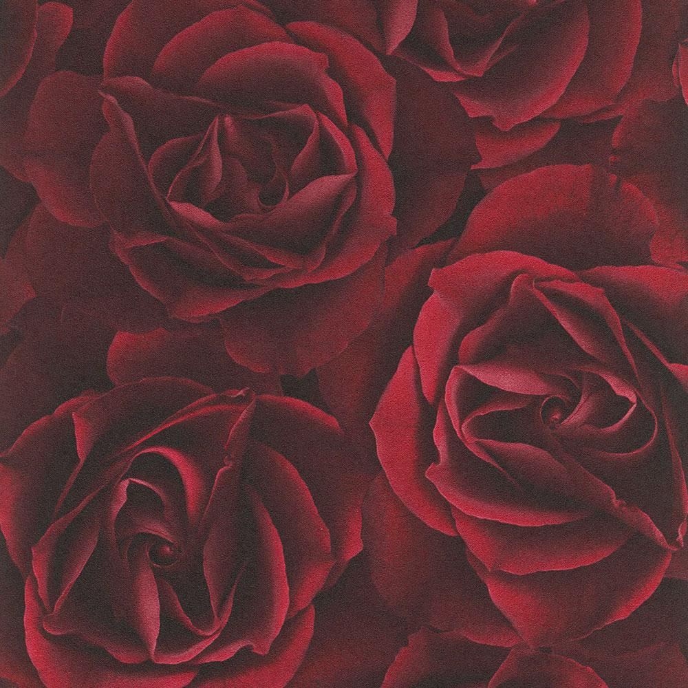 1000x1000 Floral Rose Wallpaper Deep Red Rasch 525625