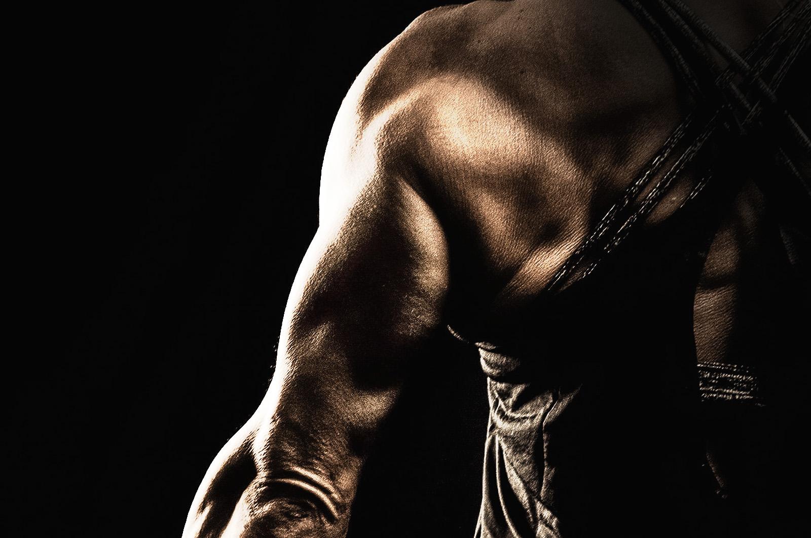 1600x1062 Muscle Study: The Triceps Muscle