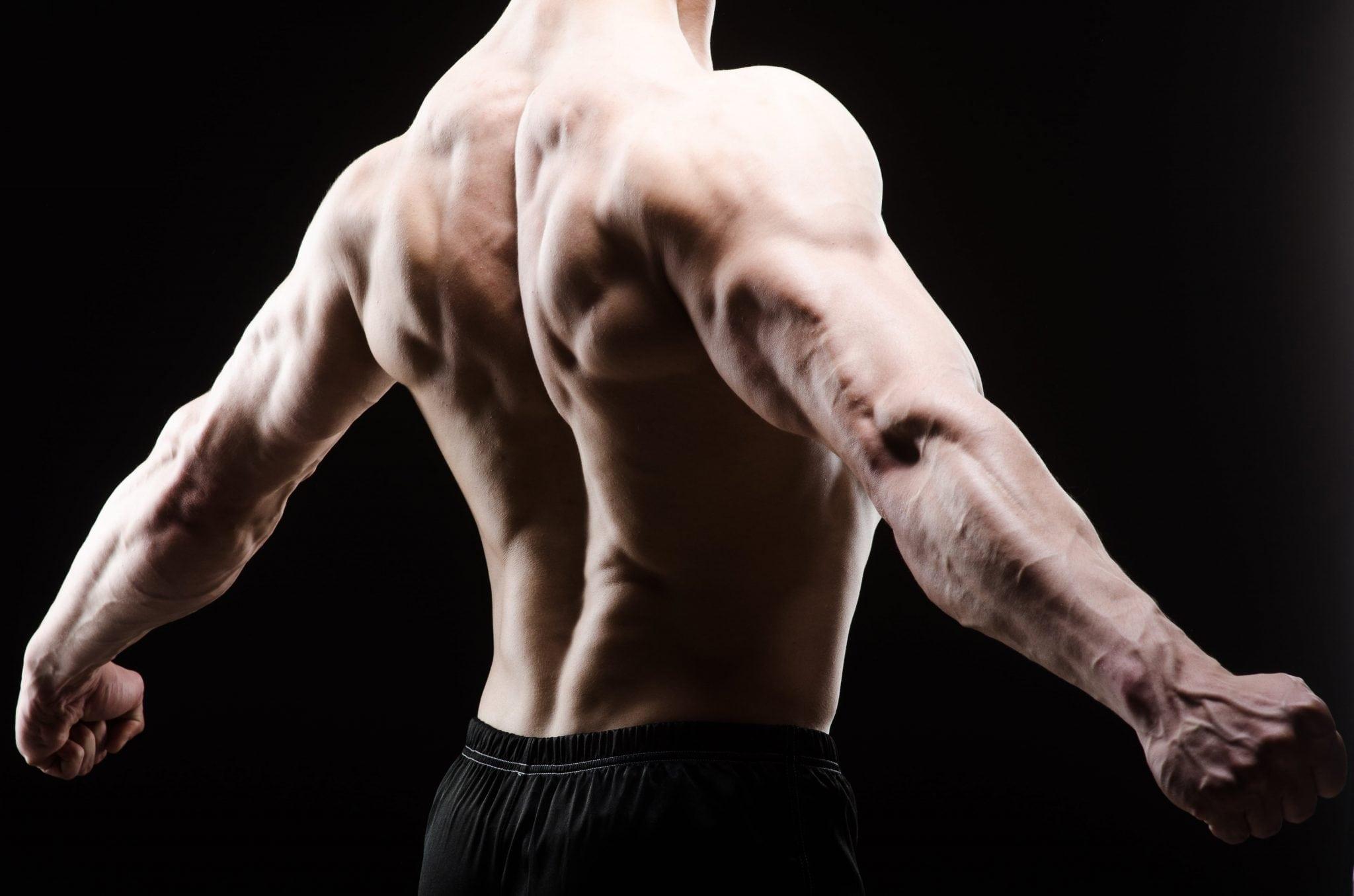 2048x1356 High Cable Supinated Triceps Kick Backs