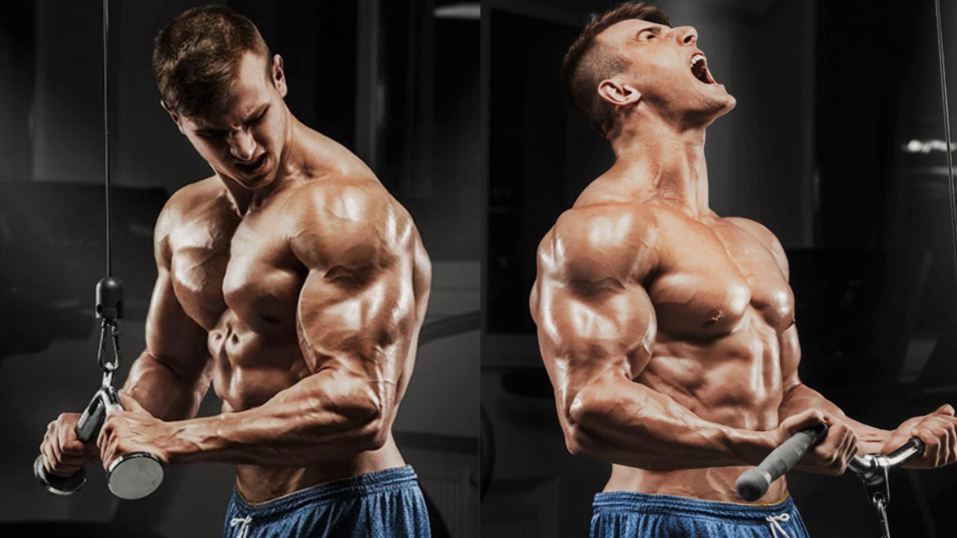 1920x1080 Biceps and Triceps Workout Supersets to Gain Arms Size Life Regime