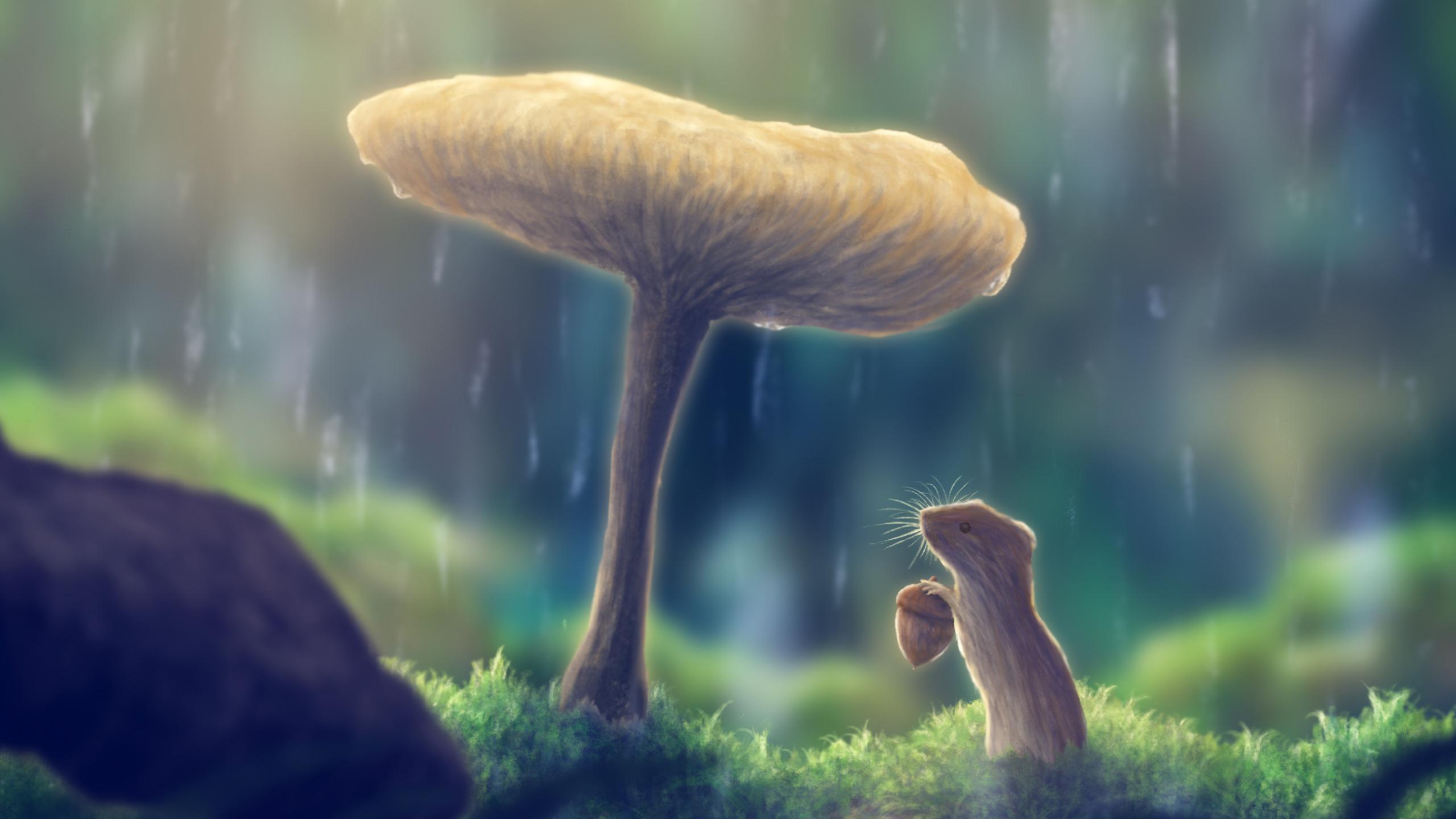 2560x1440 Anime Mushroom Squirrel Nature Background HD Anime Wallpaper