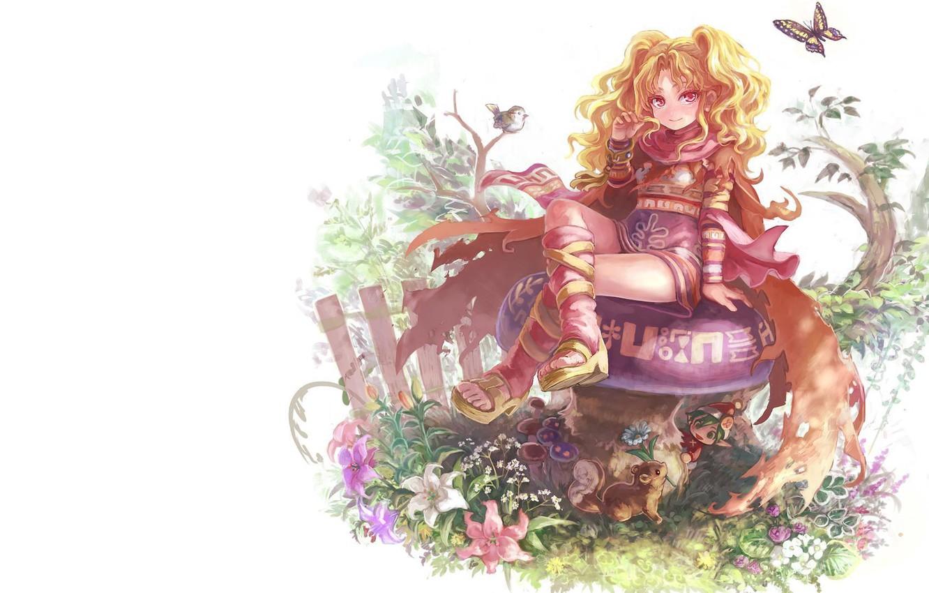 1332x850 Wallpaper summer, girl, flowers, fantasy, magic, butterfly, elf, mushroom, the fence, anime, signs, bird, dwarf, animals, squirrel, garden image for desktop, section прочее
