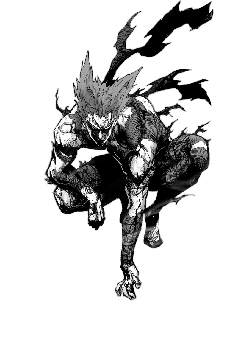 800x1138 Garou One Punch Man Wallpaper