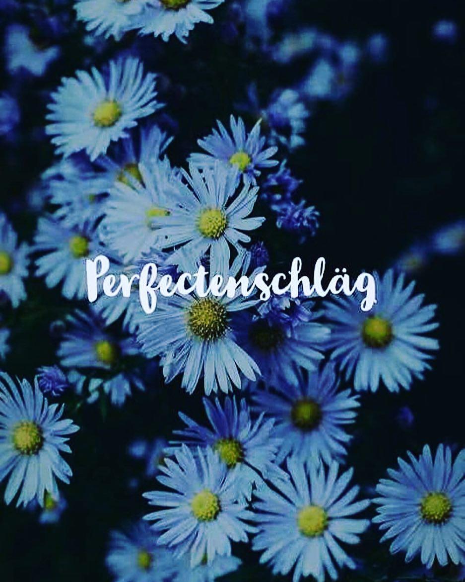 937x1171 dwightschrutequotes ảnh và video trên Instagram https://wallpaperaccess.com/full/831847.jpg