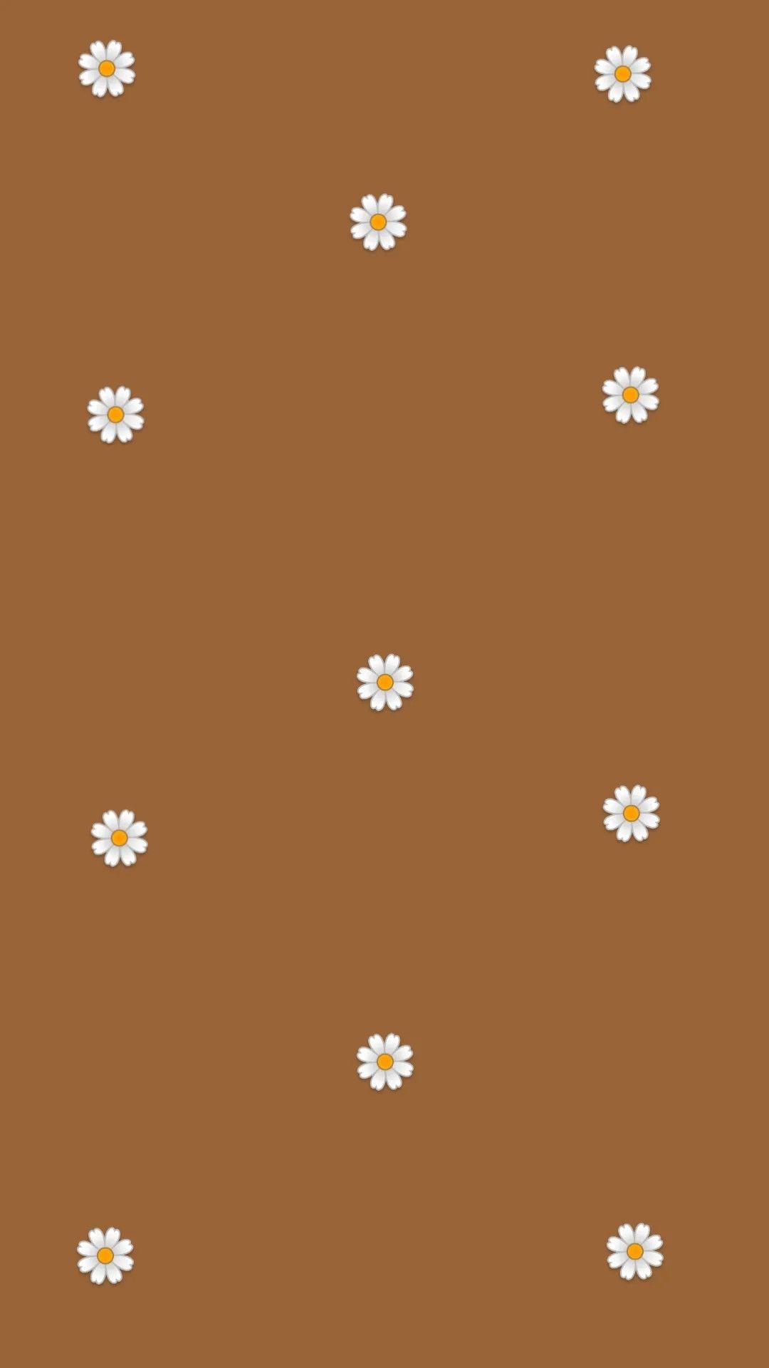 Brown Aesthetic Phone Wallpapers - Top Free Brown Aesthetic Phone