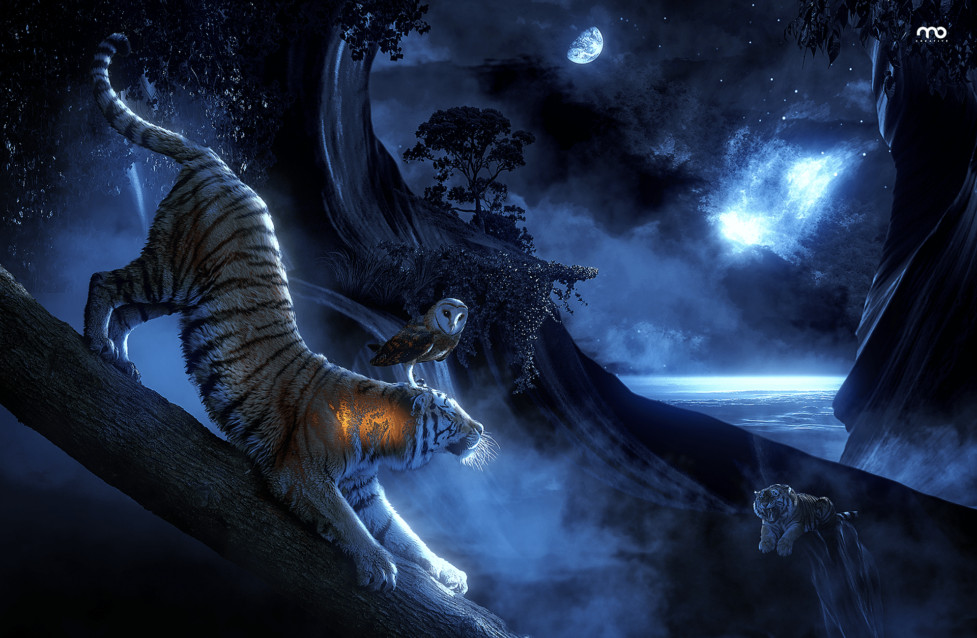 1920x1254 The Land of the Cosmic Tigers