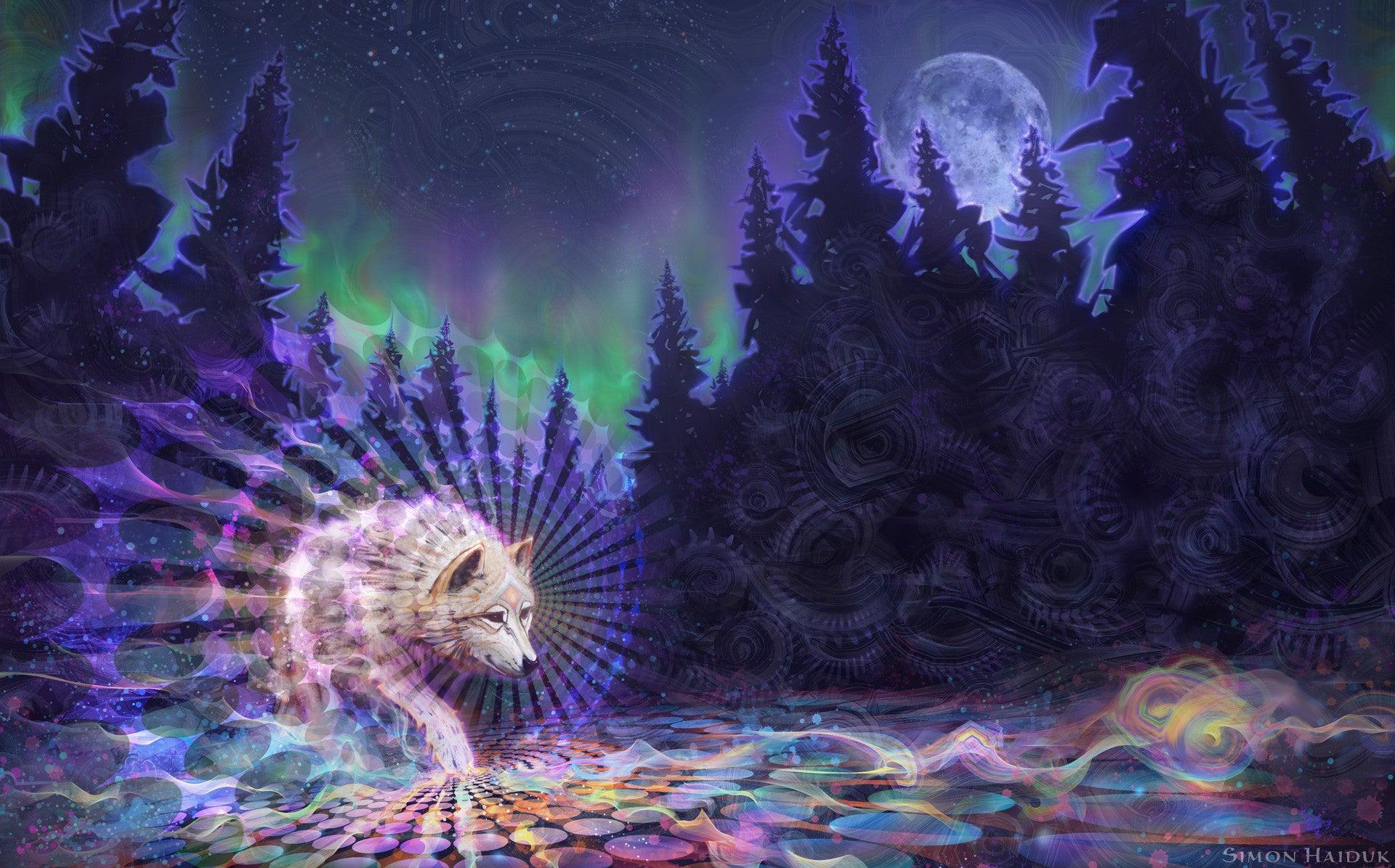 1920x1195 Canvas Prints Tagged visionary art Haiduk Art