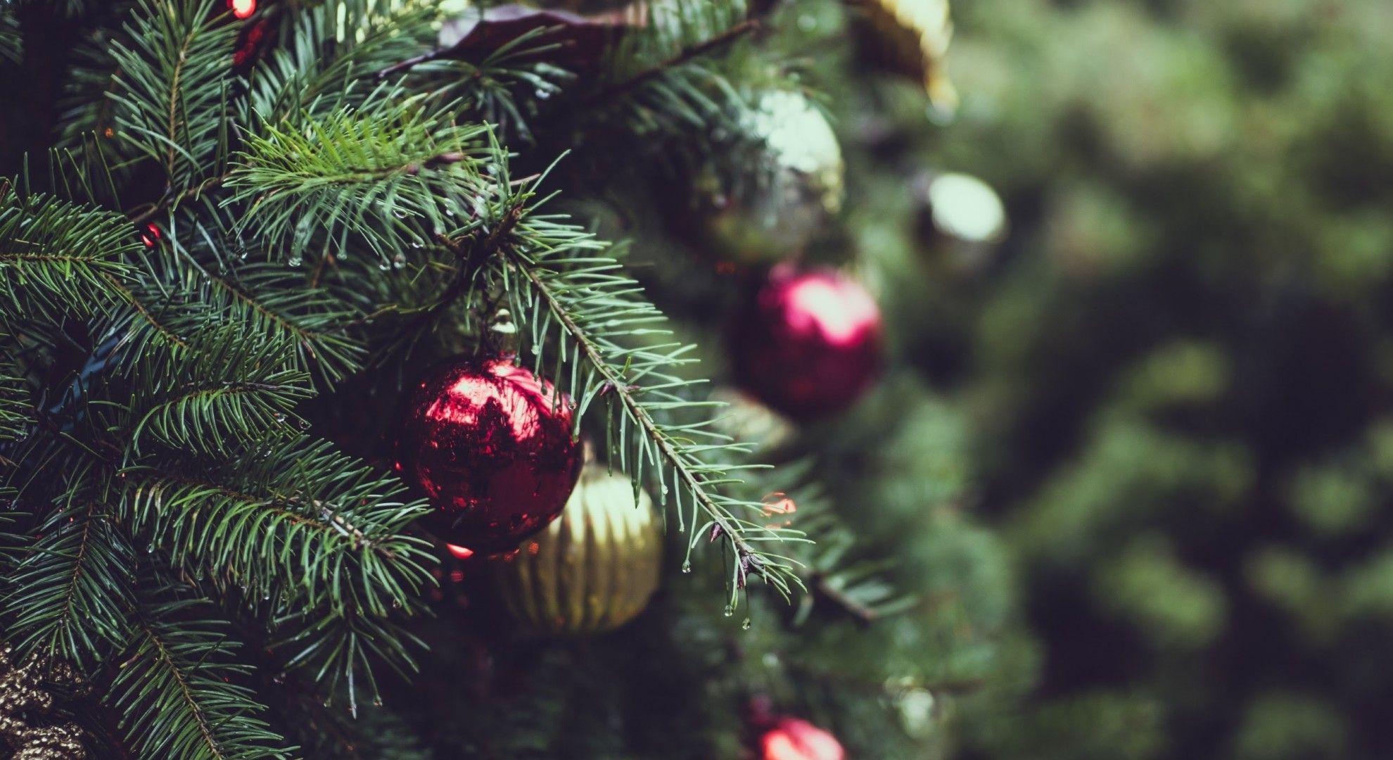 1980x1080 Download 1980x1080 Christmas Tree, Ornaments, Close Up, Blurred