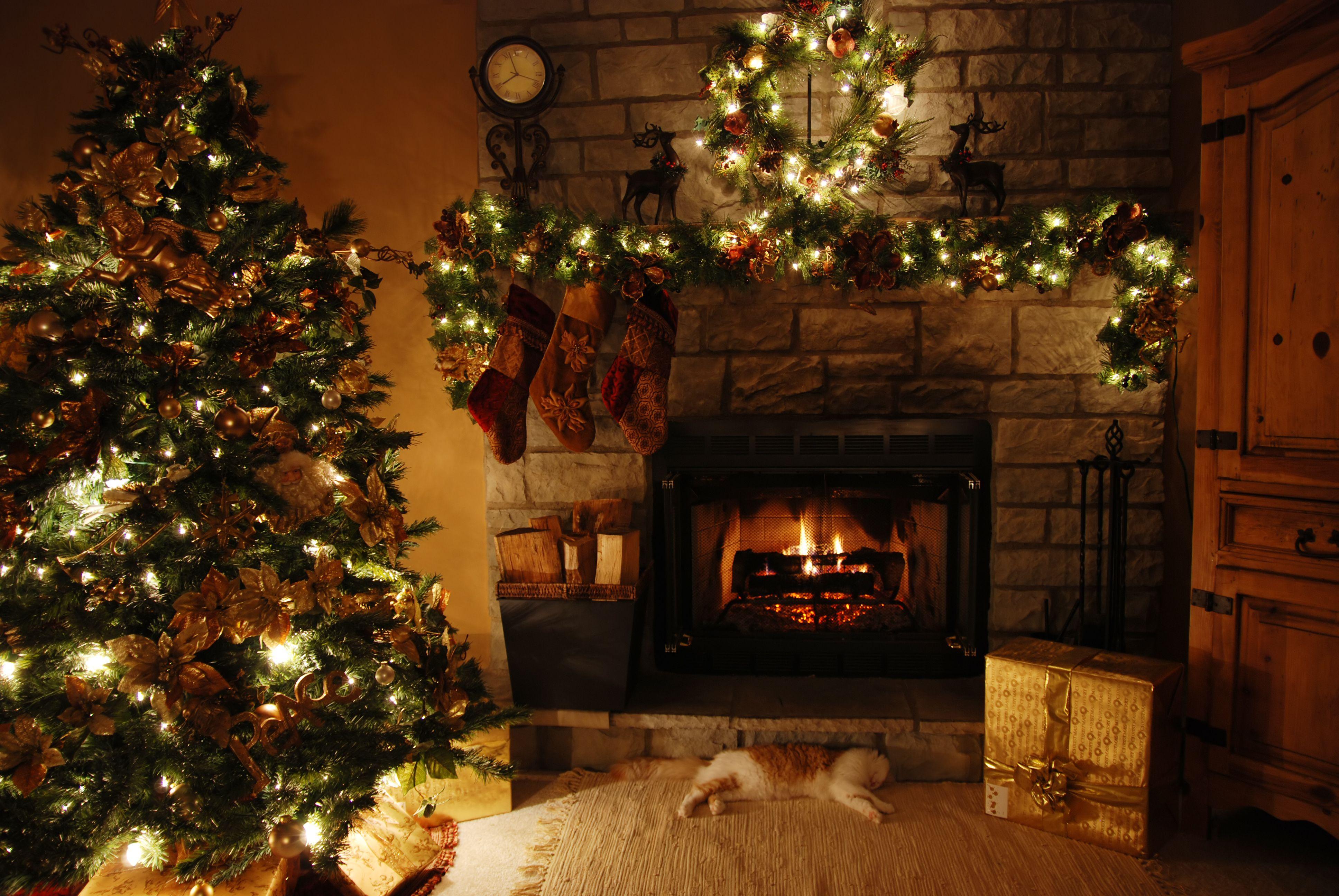 3872x2592 Christmas Lights HD Wallpaper and Background Image