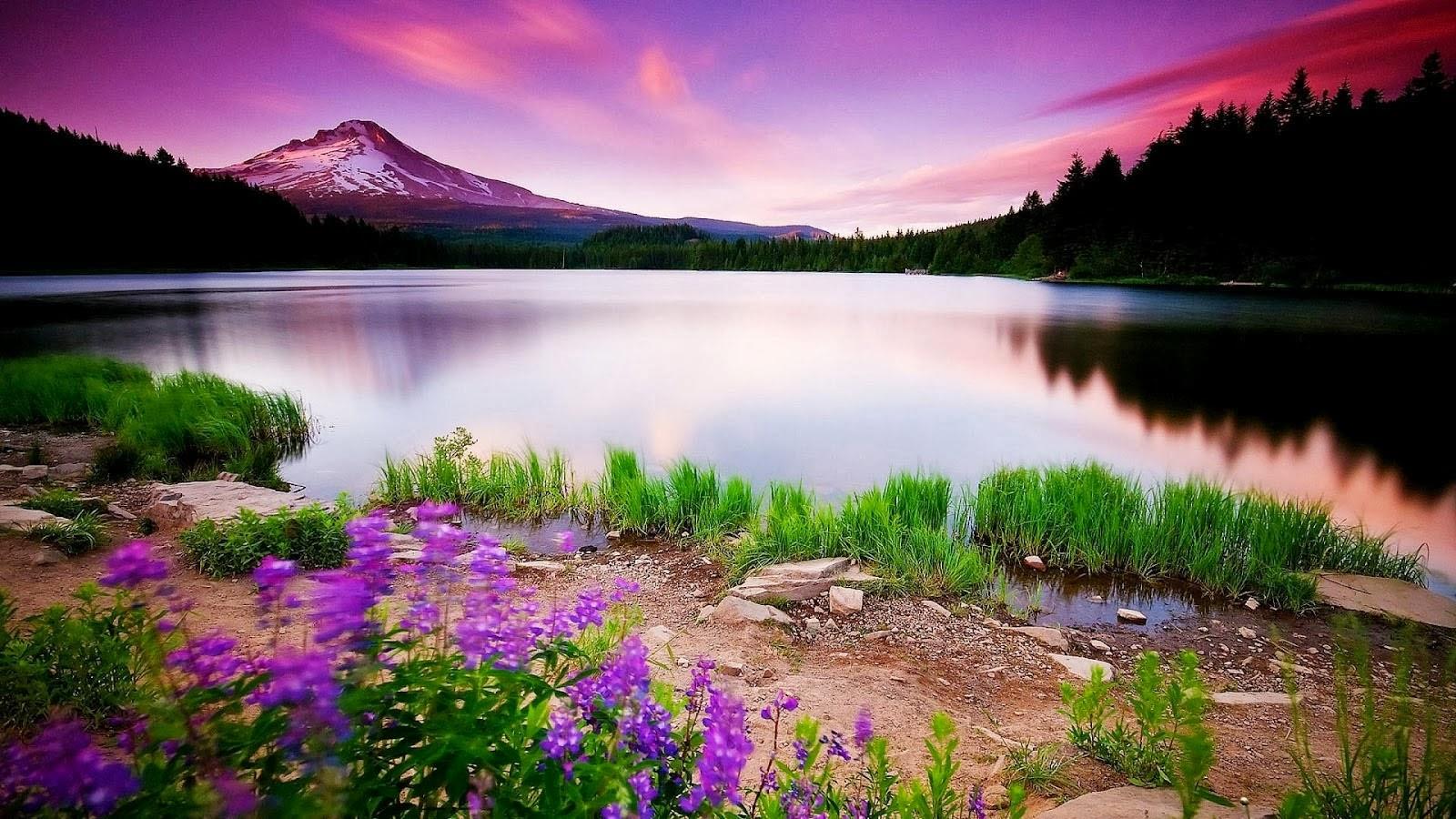 1600x900 Free download HD Size Nature Wallpaper Downloads Full HD Nature Wallpaper [1600x900] for your Desktop, Mobile & Tablet. Explore Wallpaper Of HD Nature. Beautiful Nature Wallpaper HD, Nature HD