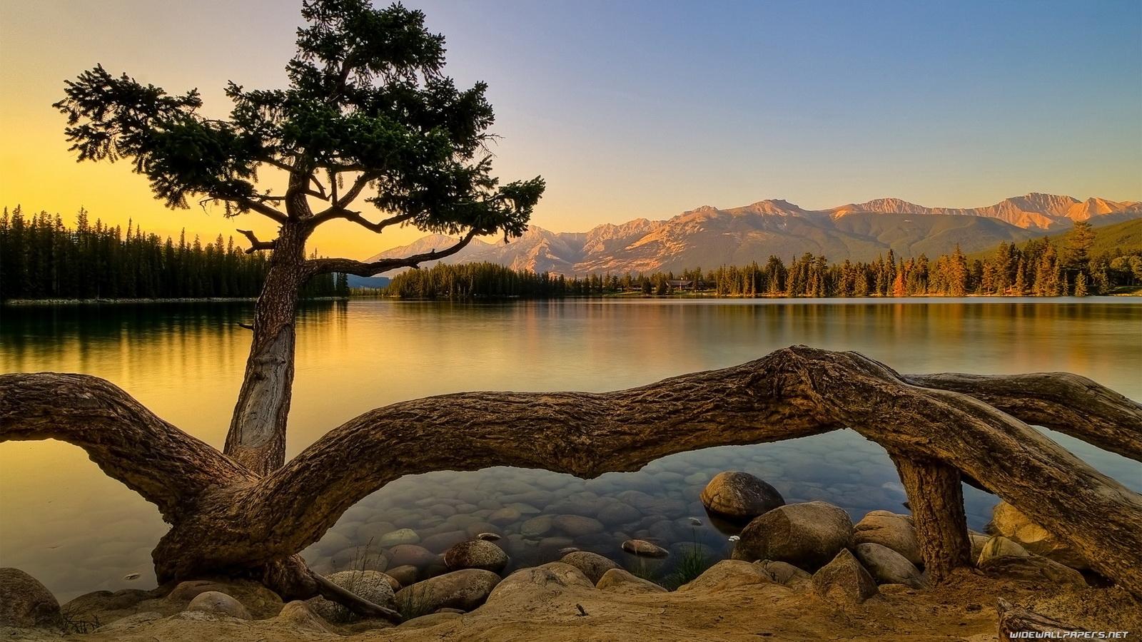 1600x900 nature wallpaper hd, nature, natural landscape, water, tree, sky