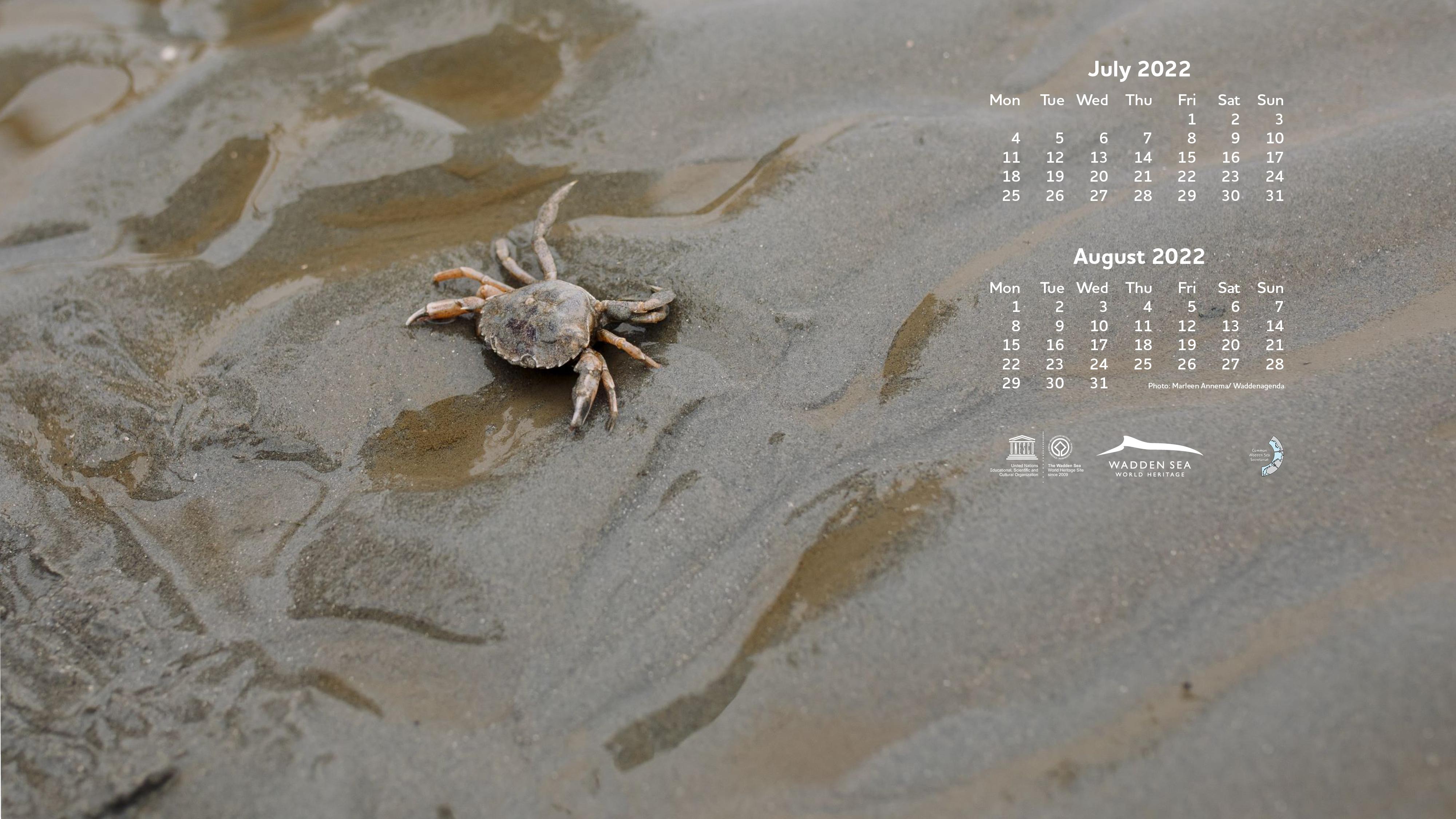 4000x2250 Wadden Sea digital calendar 2022