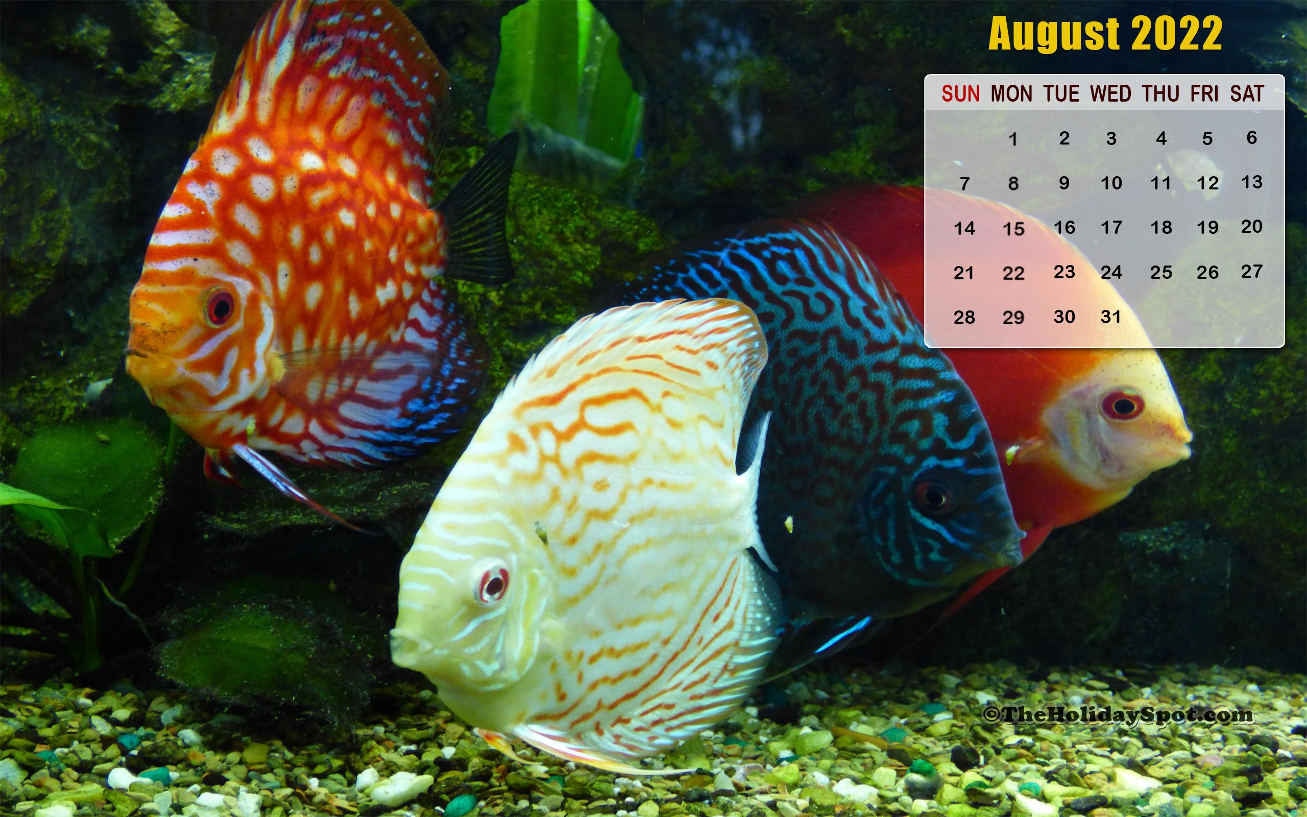 2560x1600 Month wise Calendar Wallpaper for 2022p HD Calendar Wallpaper