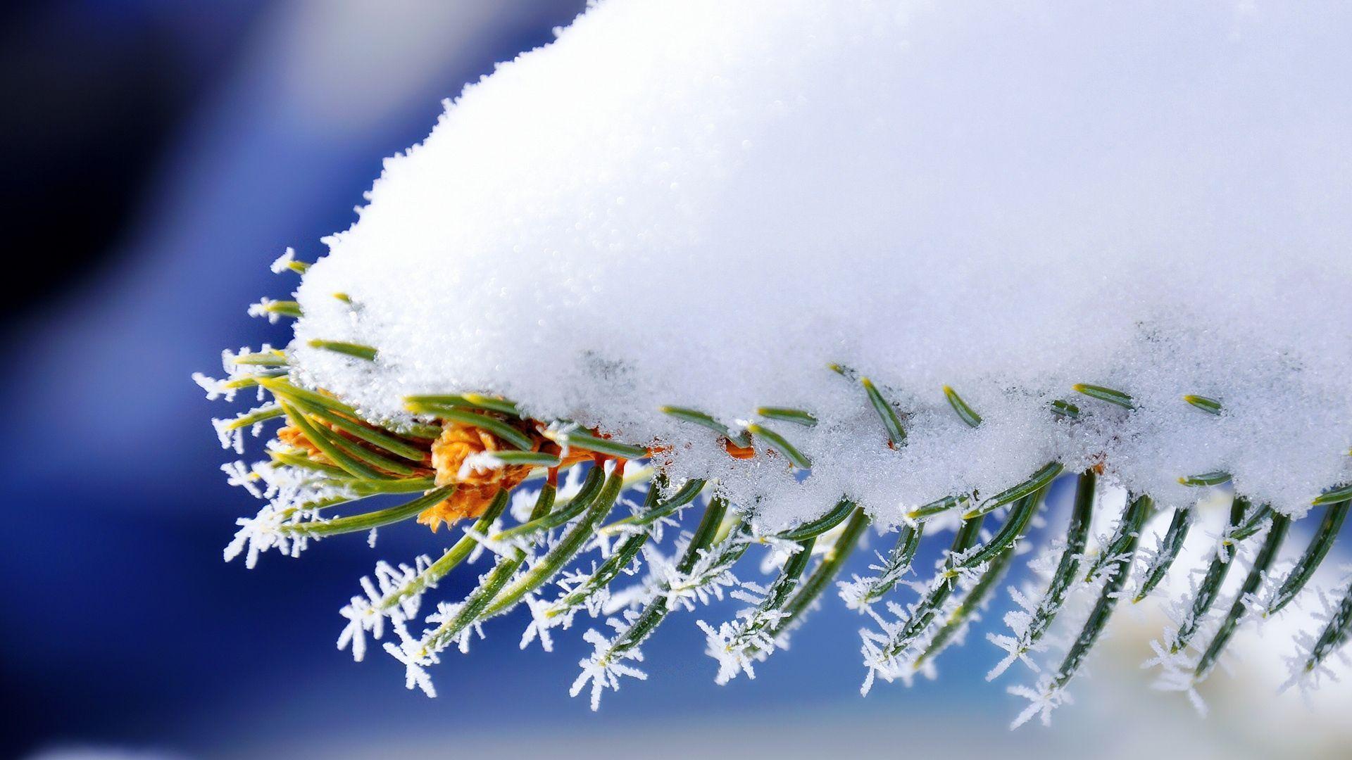 1920x1080 Winter Wallpaper Full HD