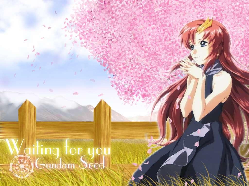 1024x768 Lacus Clyne Suit Gundam SEED Anime Image Board