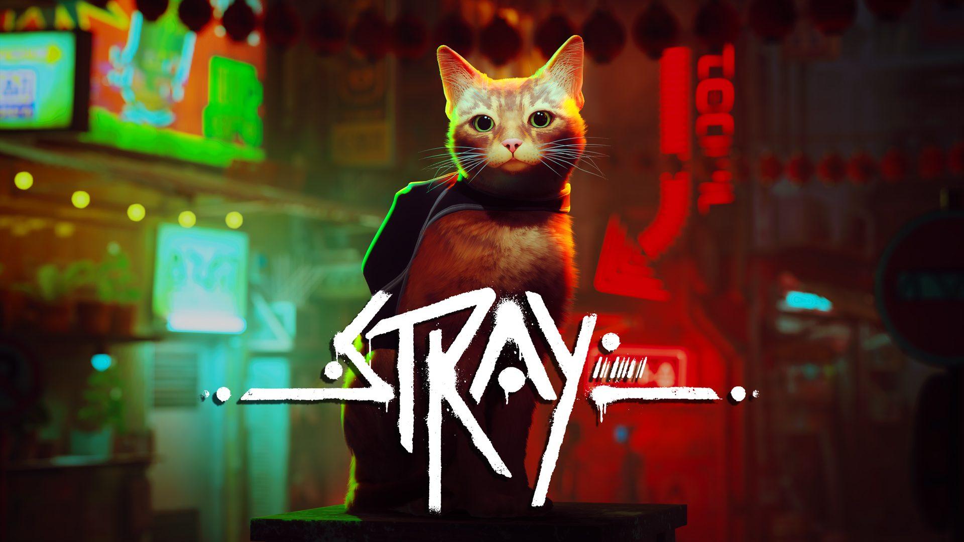 Stray Wallpapers  Top 25 Best Stray Cat Game Wallpapers  HQ 
