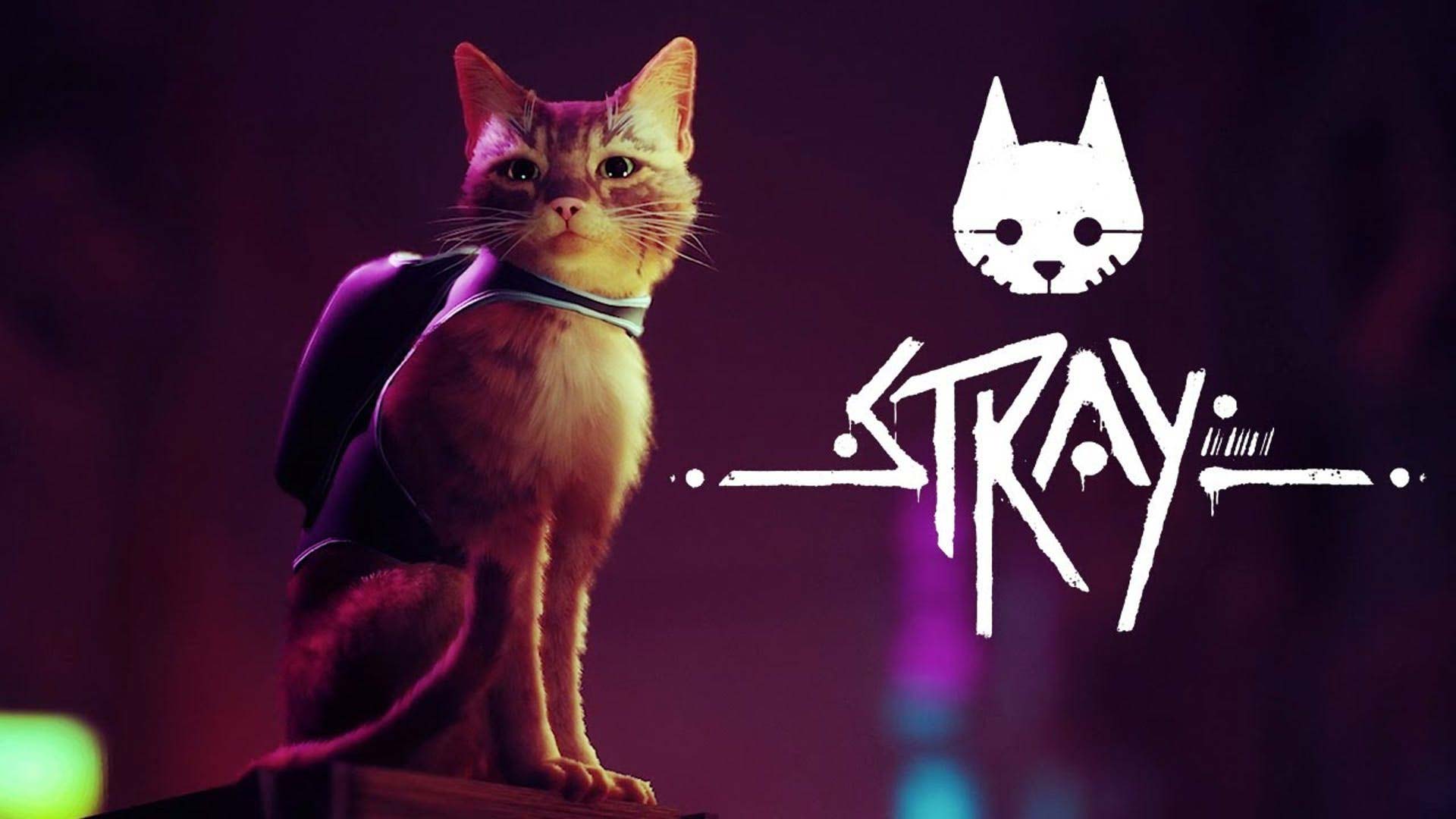 Stray and Background Stray Game HD wallpaper  Peakpx