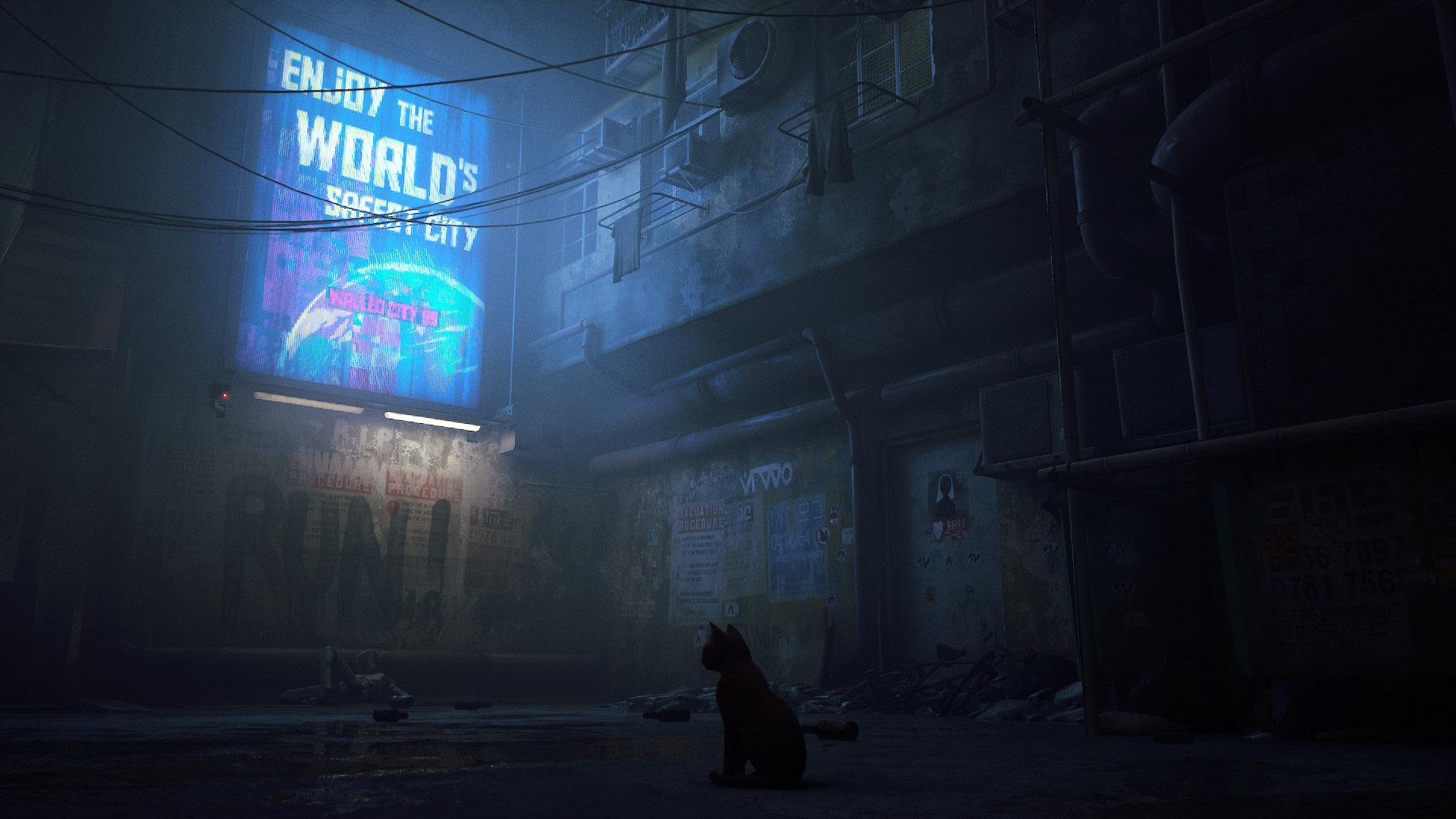 1920x1080 Stray HD Wallpaper and Background